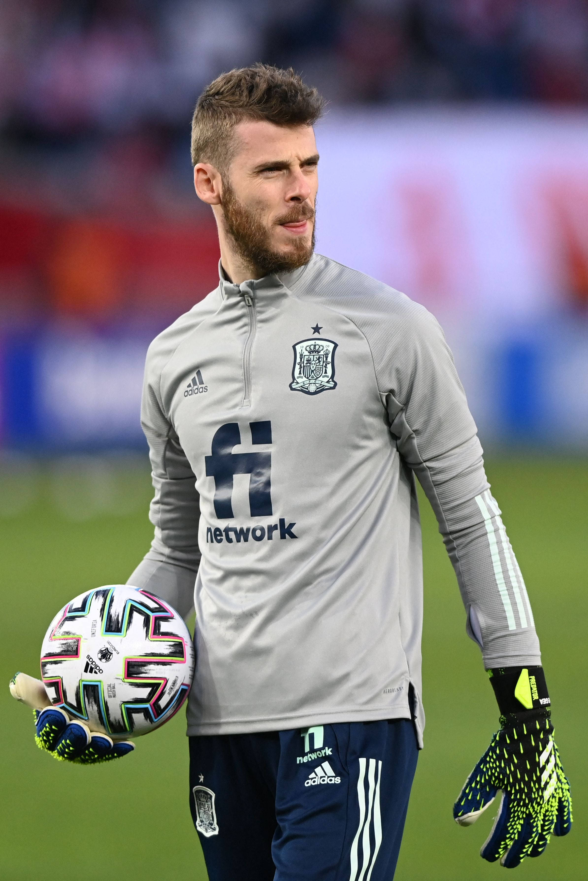 David De Gea Gri İspanyol Forması Duvar Kağıdı