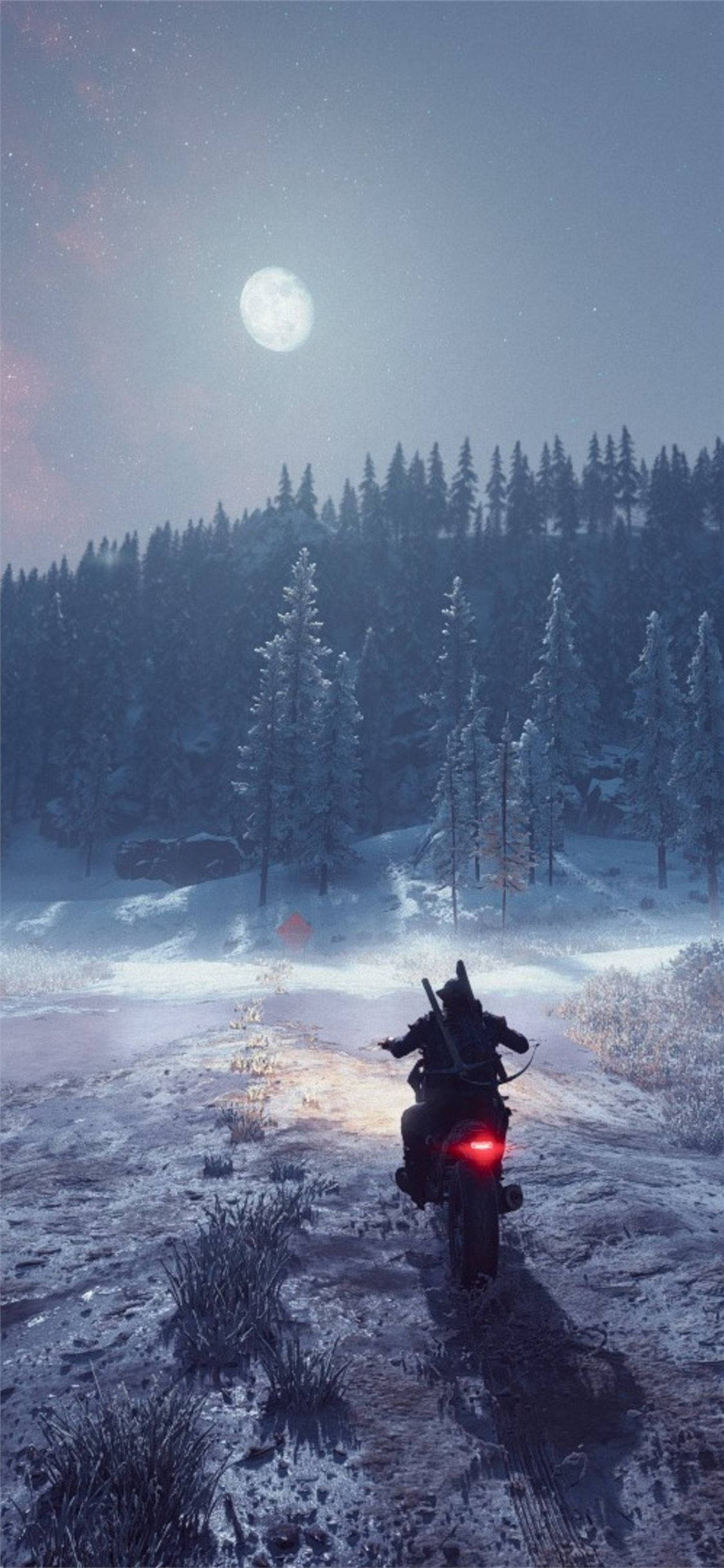 Days Gone Kış Sürüşü Duvar Kağıdı