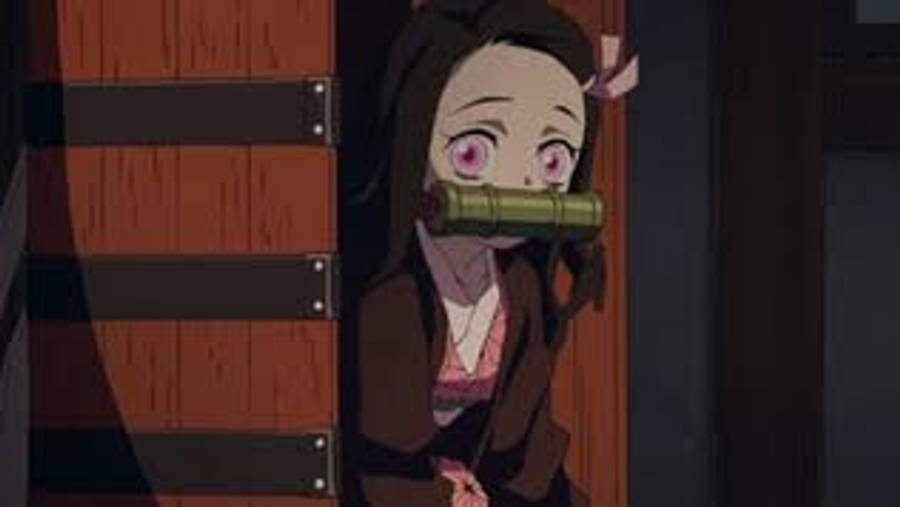 Demon Slayer Nezuko Yeni Sepet Duvar Kağıdı