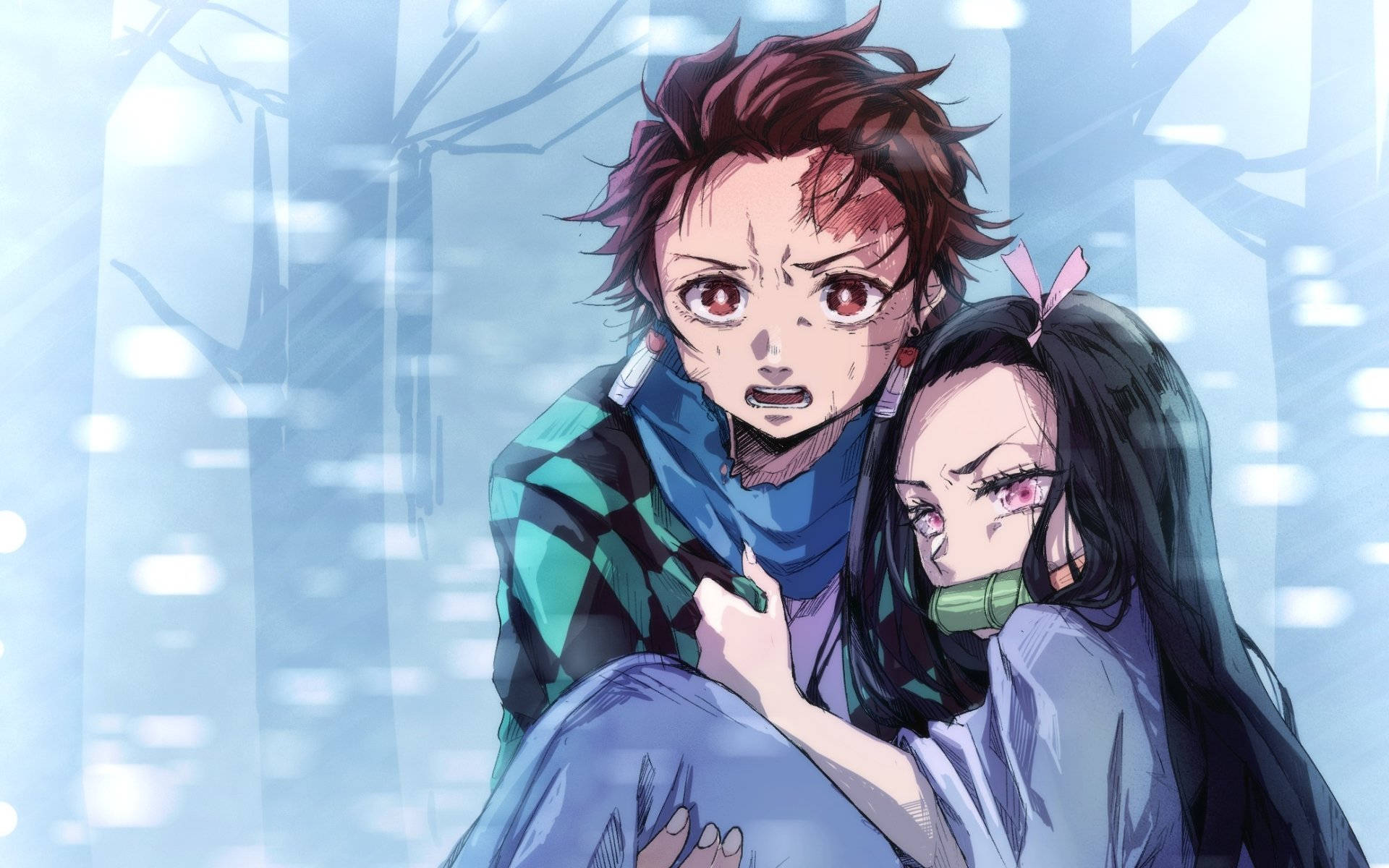 Demon Slayer Tanjiro Taşıyor Duvar Kağıdı
