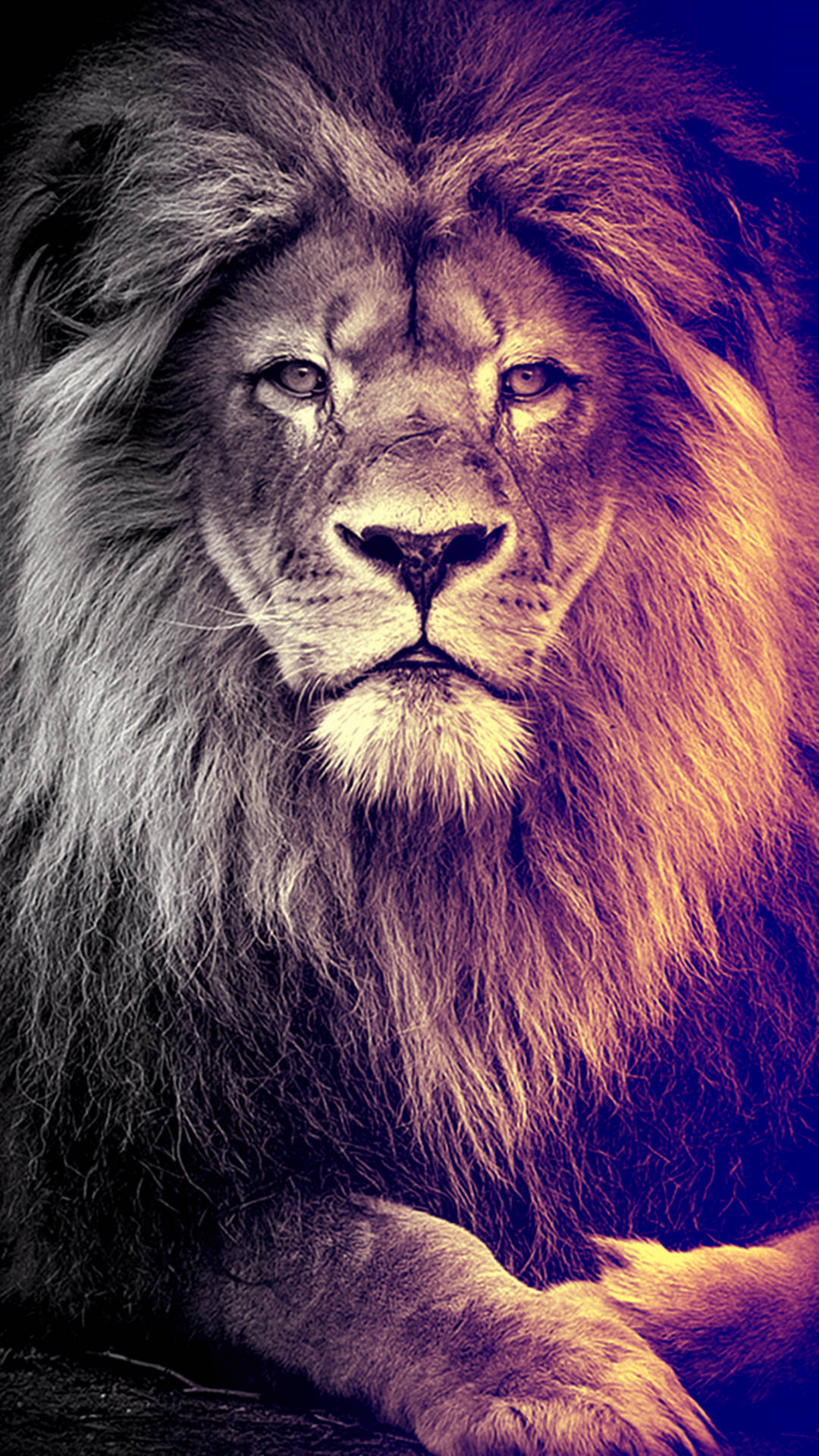 Dijital Sanat Aslan iPhone Duvar Kağıdı