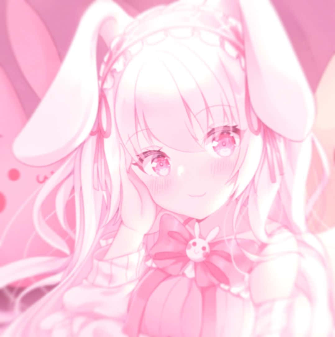 Discord Anime Profil Fotoğrafı Pembe Estetik Duvar Kağıdı