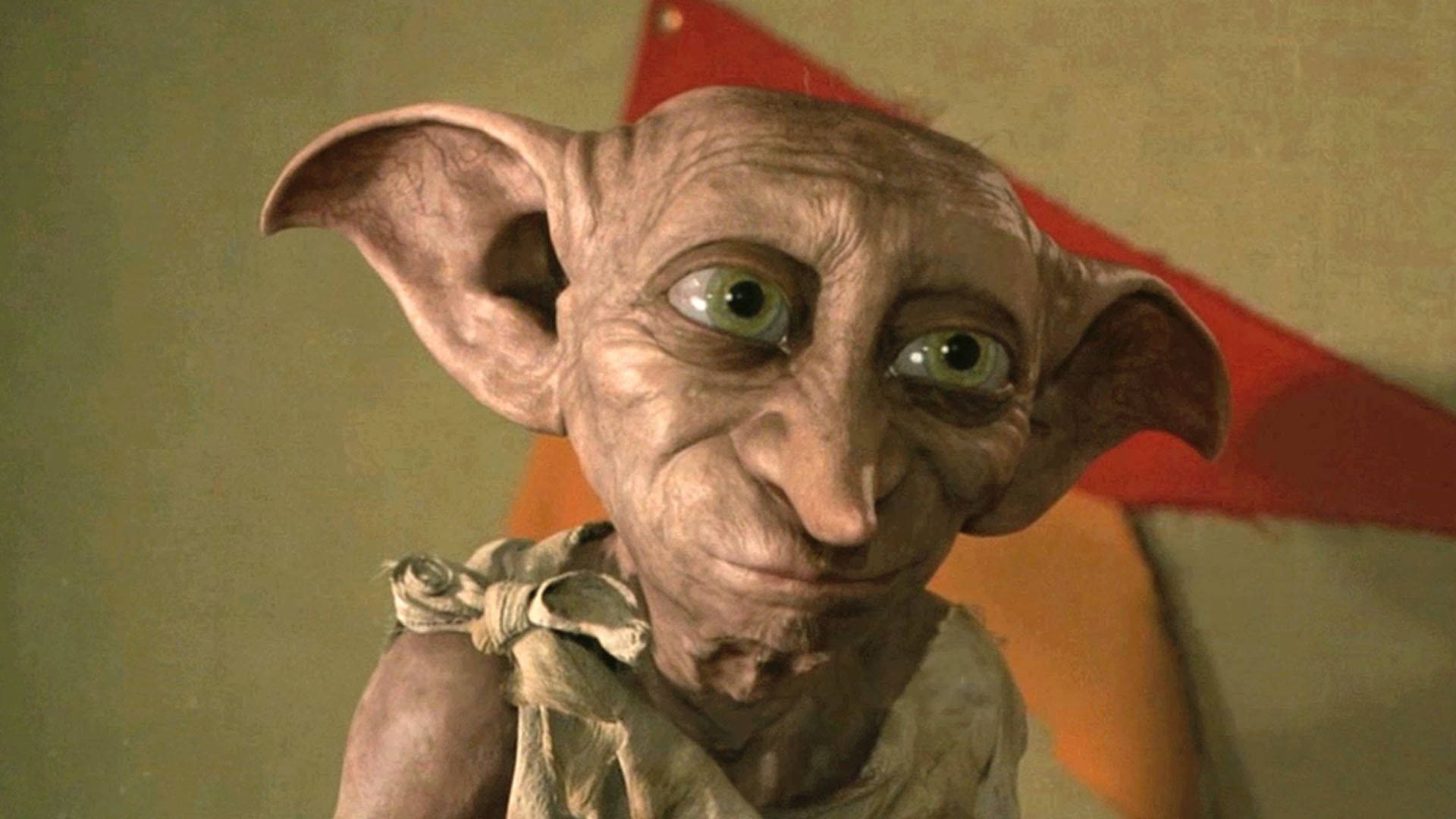 Dobby'nin Harry'yi Durdurma Görevi Sahnesi Duvar Kağıdı