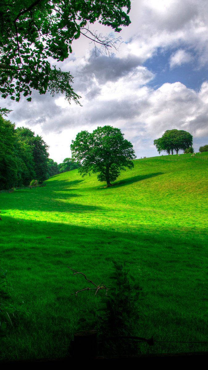 Doğa Portresi Yeşil Tepeler Duvar Kağıdı
