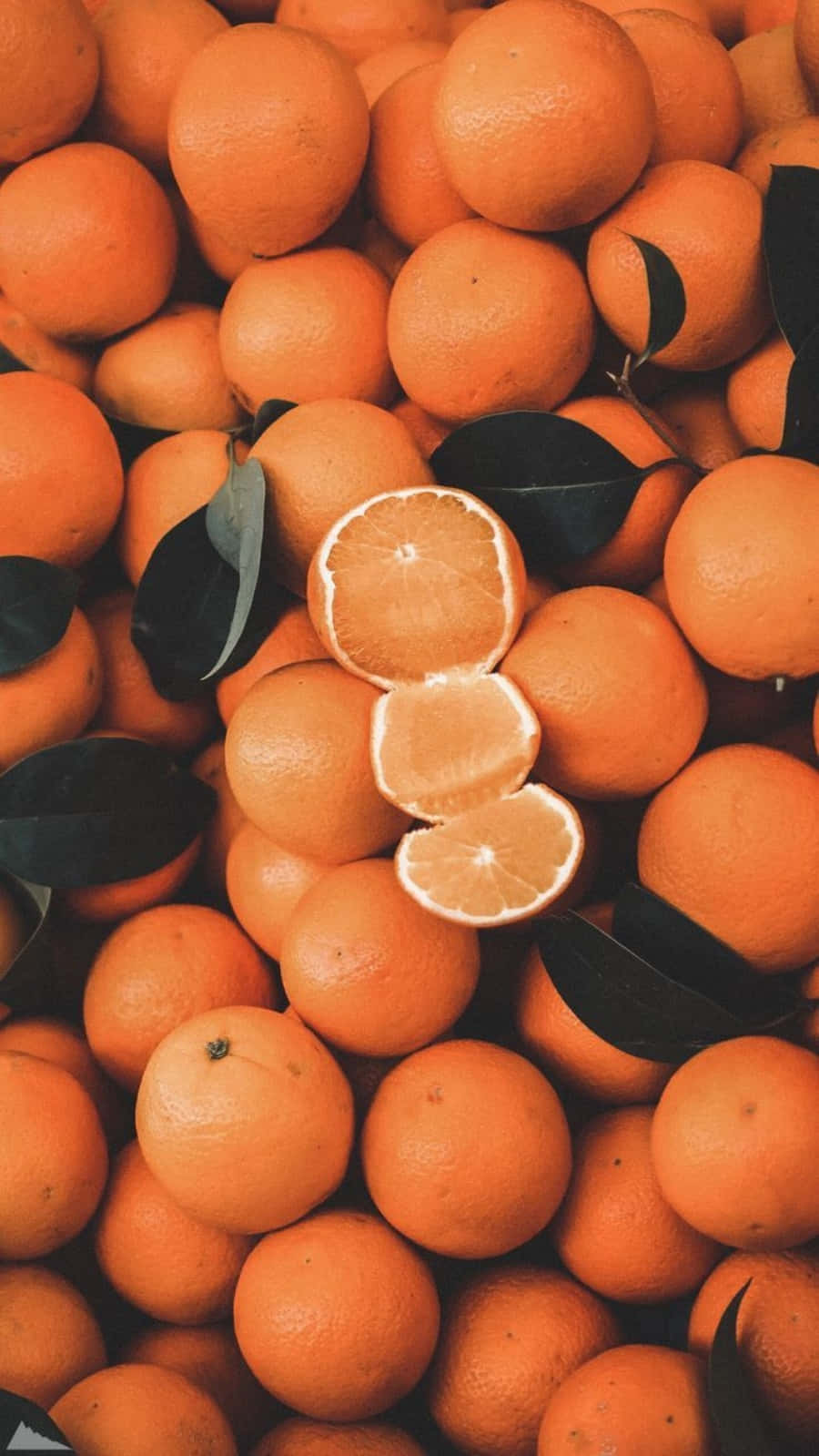 Doğal güzellik birçok renkte gelir, Turuncu 🍊 dahil Duvar Kağıdı