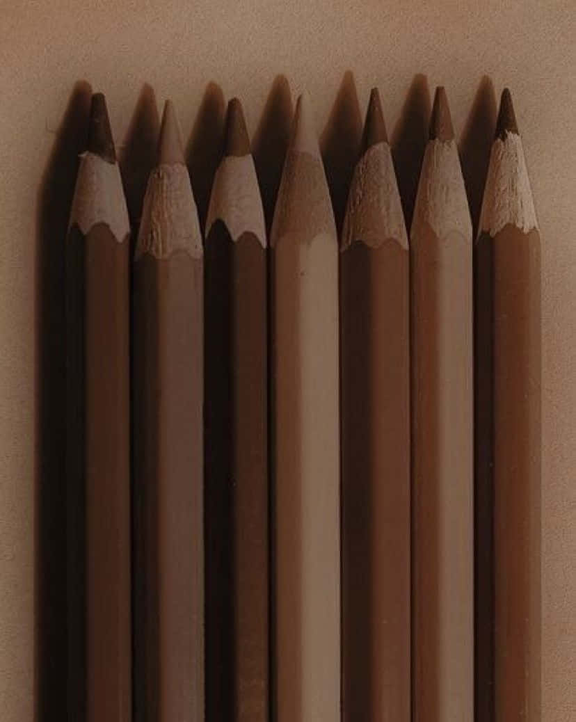 Doğanın Güzelliğinin Estetik Kahverengi Manzarada Keyfi Duvar Kağıdı