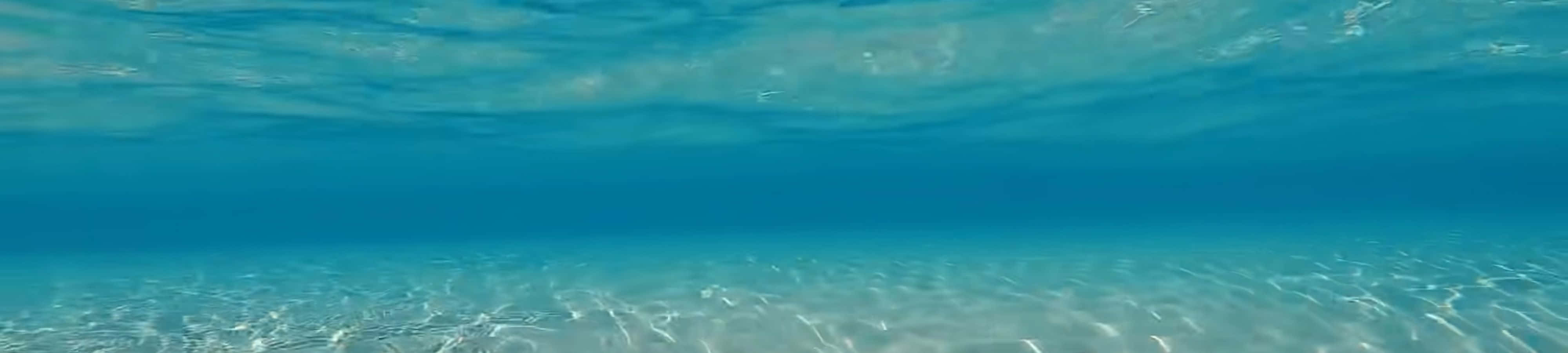 Doğanın büyüleyici güzelliğini keşfedin ve hayran kalın Duvar Kağıdı