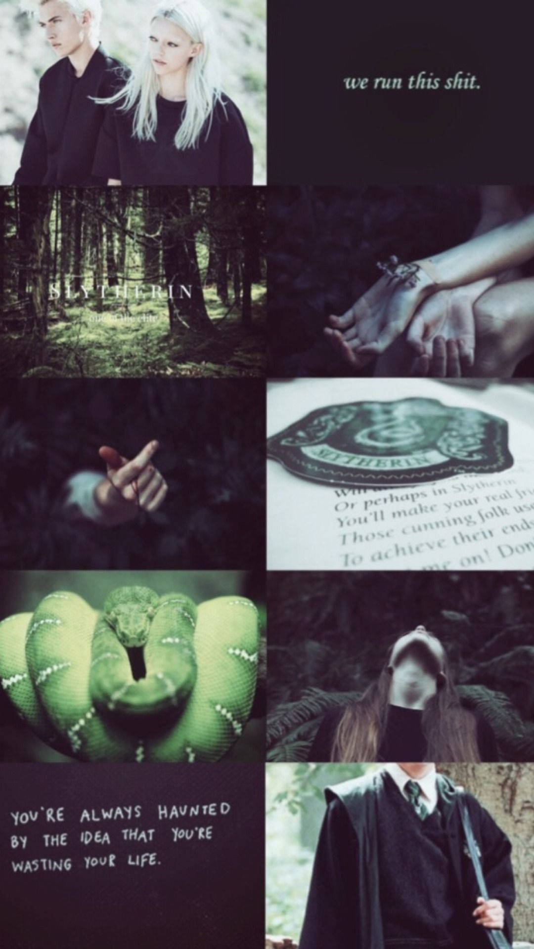 Draco Malfoy Slytherin Çift Estetiği Duvar Kağıdı