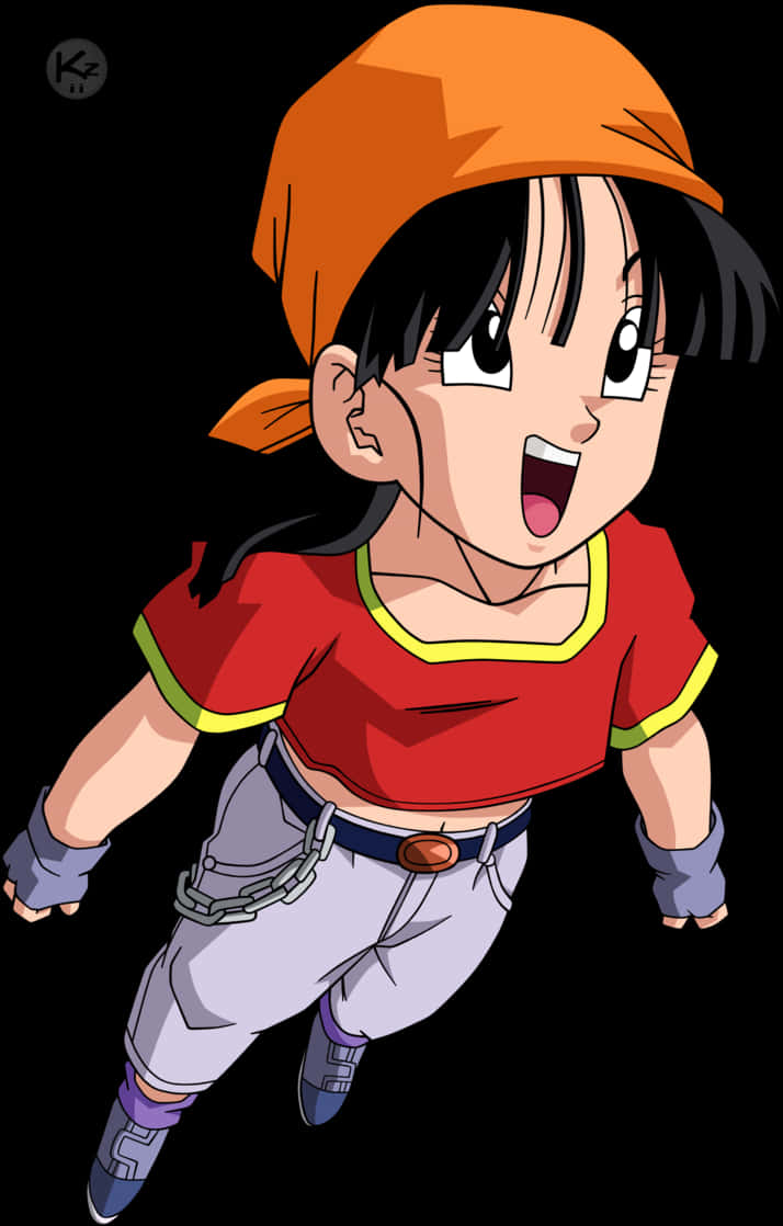 Dragon Ball Z Animasyon Karakteri Pan Duvar Kağıdı
