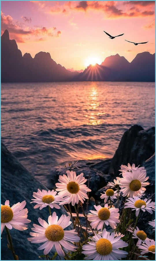 Duyularını Tazele ve Güzel Hisset Duvar Kağıdı
