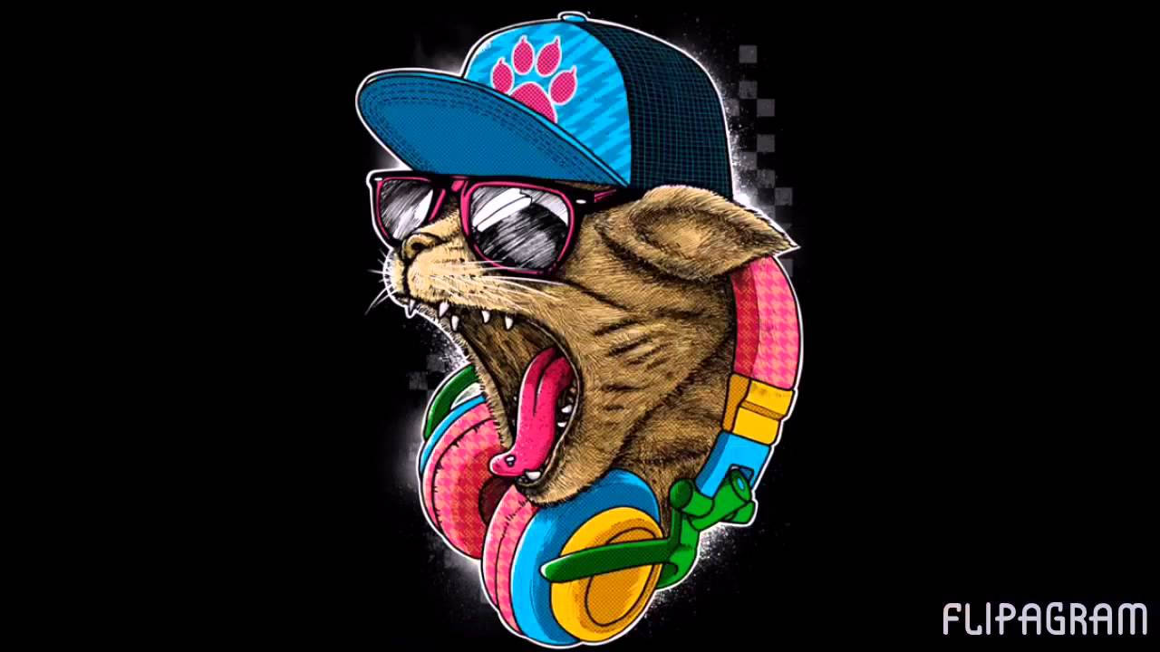 Eğlenceli Punk Rock Kedi Duvar Kağıdı