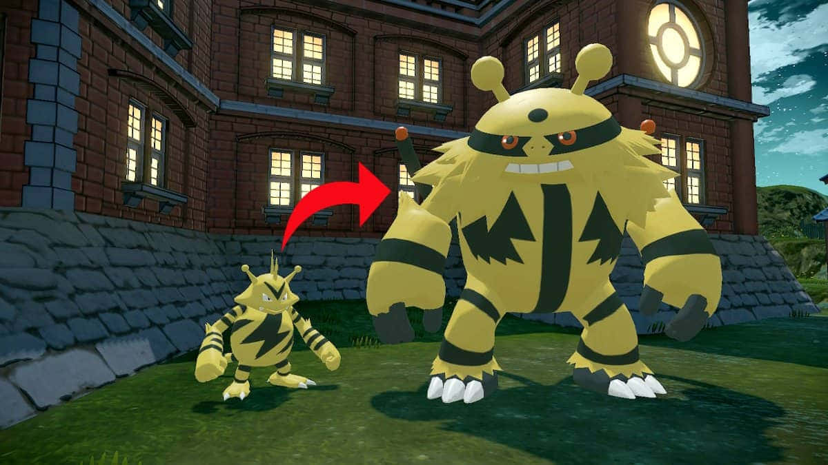 Electabuzz Enerji Yüklerken Pokemon Savaşında Duvar Kağıdı