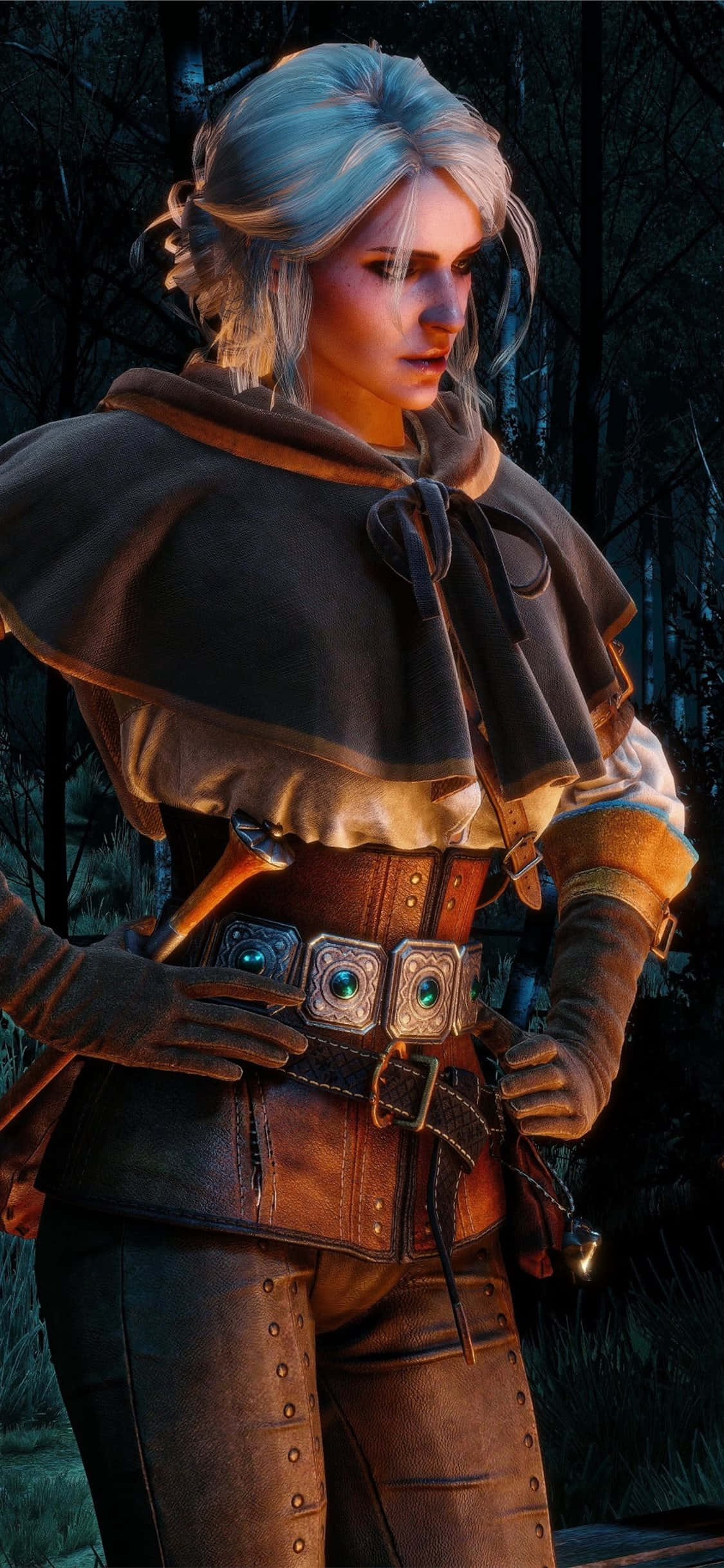 En İyi The Witcher 3 Arka Planı Duvar Kağıdı