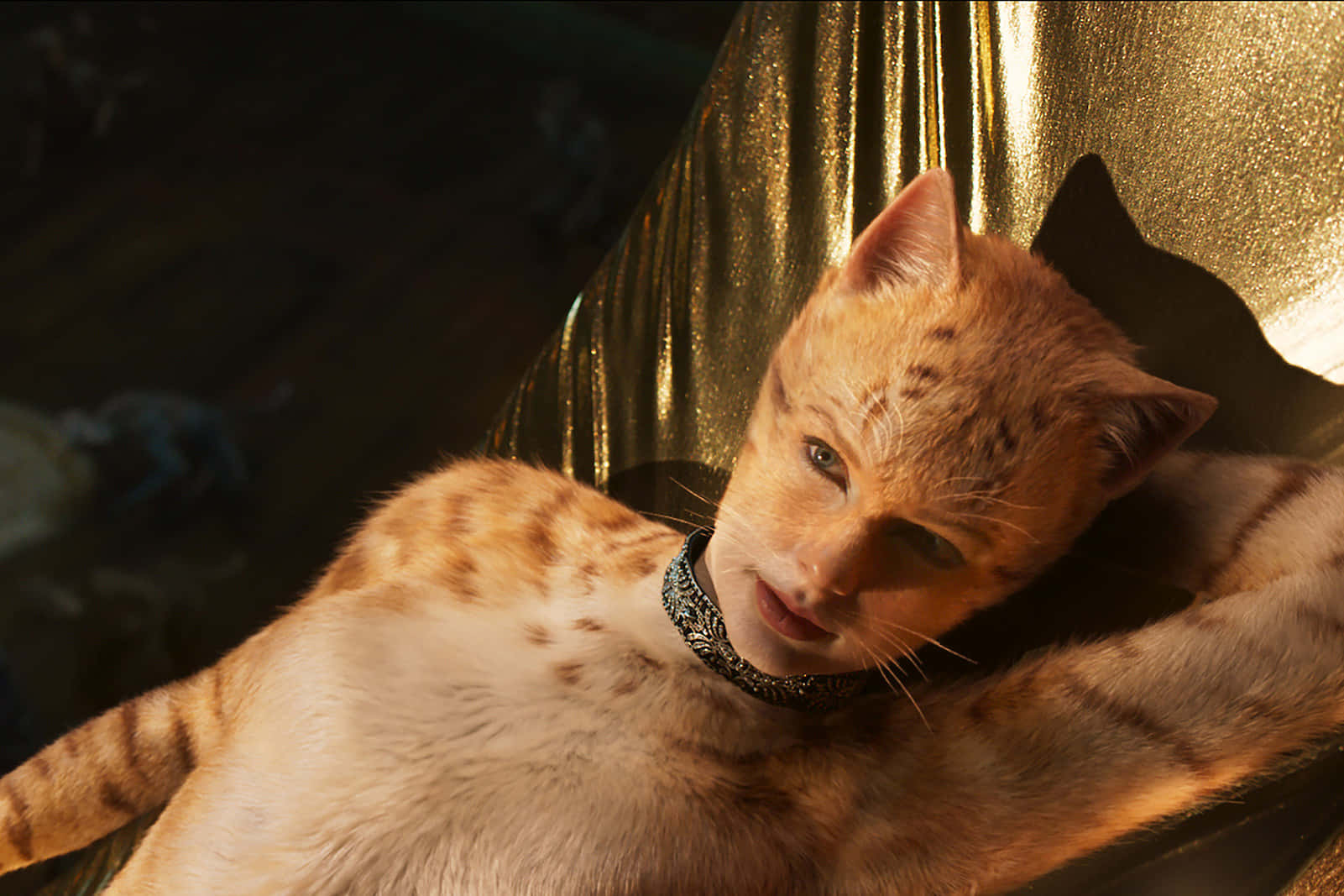 En Komik Kediler Karakteri Taylor Swift Resmi Duvar Kağıdı