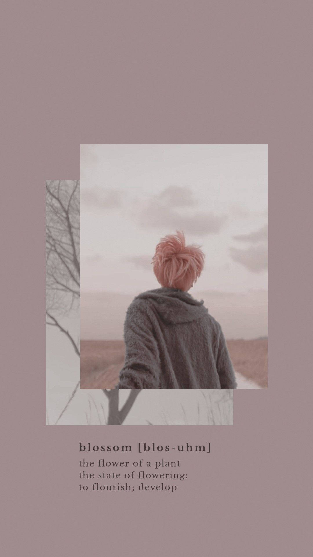 Estetik Bts Jimin Çiçek Açışı Duvar Kağıdı