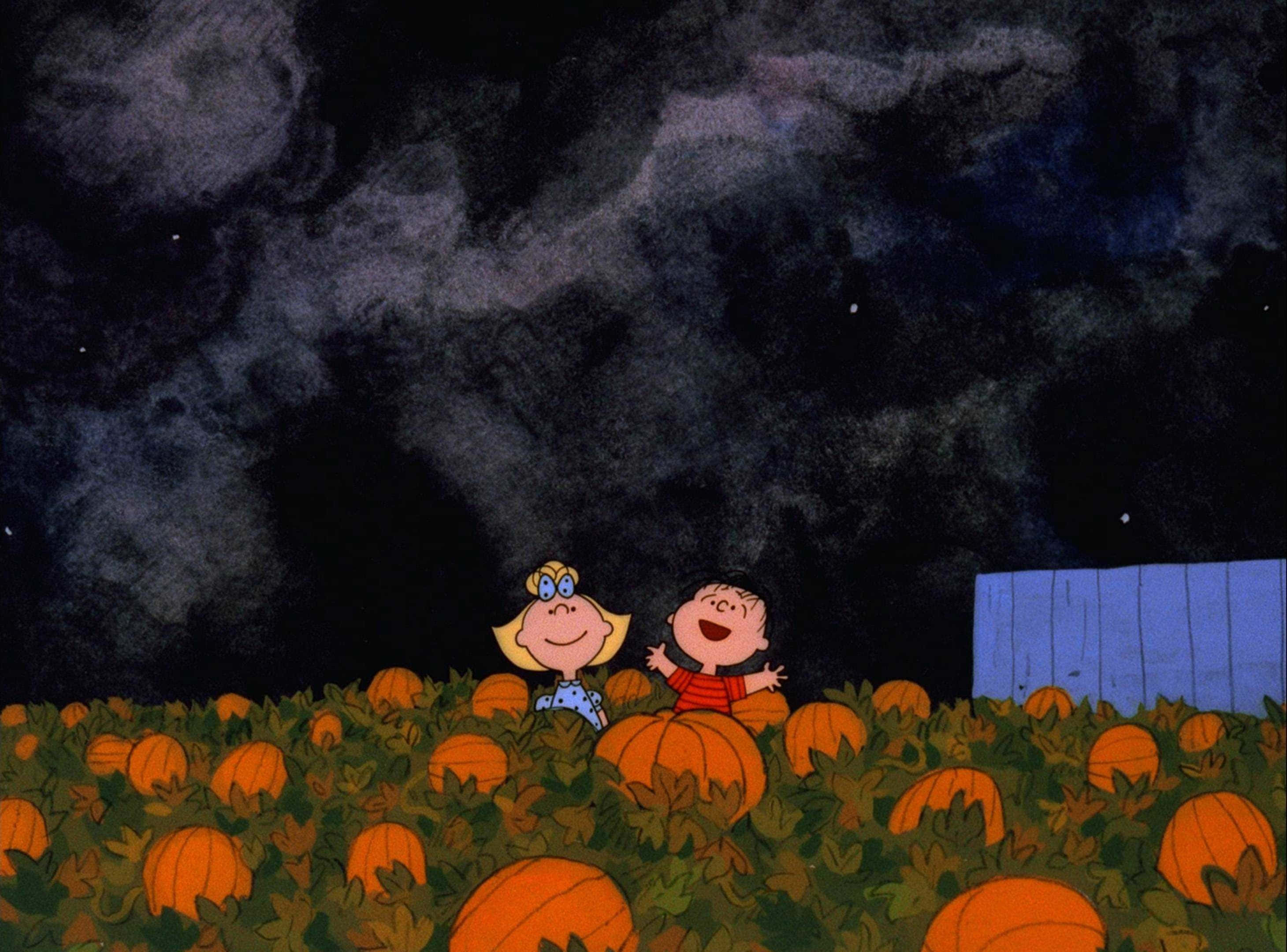 Estetik Cadılar Bayramı Arkaplanı Balkabağı Tarlası Peanuts Karakterleri Duvar Kağıdı