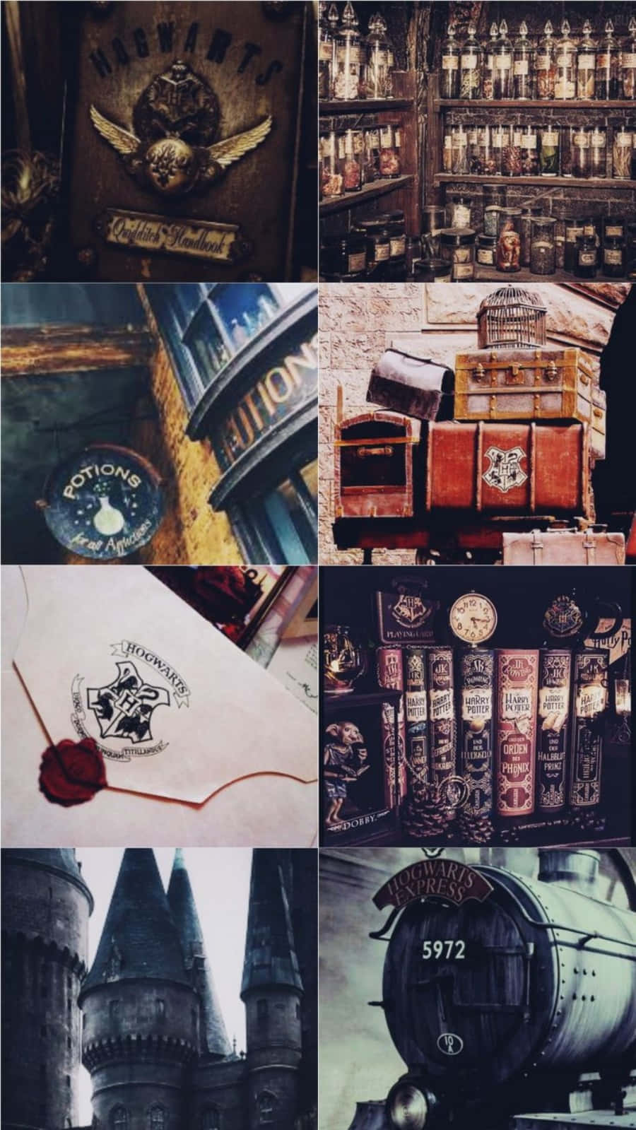 Estetik Harry Potter Ormanda Geziniyor Duvar Kağıdı