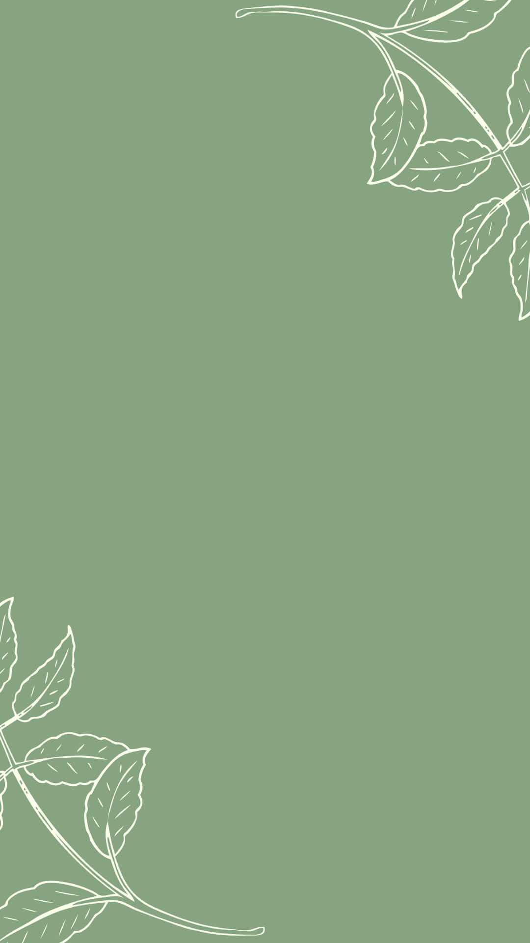 Estetik Instagram Minimalist Adaçayı Yeşili Duvar Kağıdı