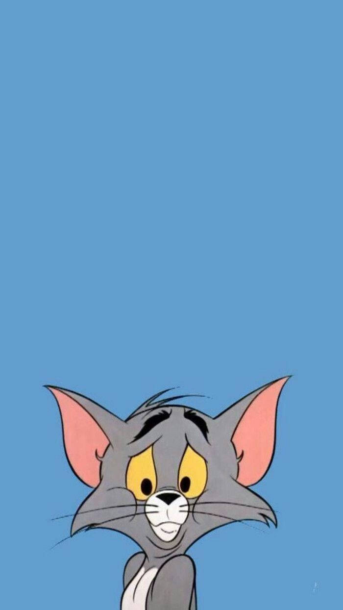 Estetik Karikatür Kafası Karışık Tom Duvar Kağıdı