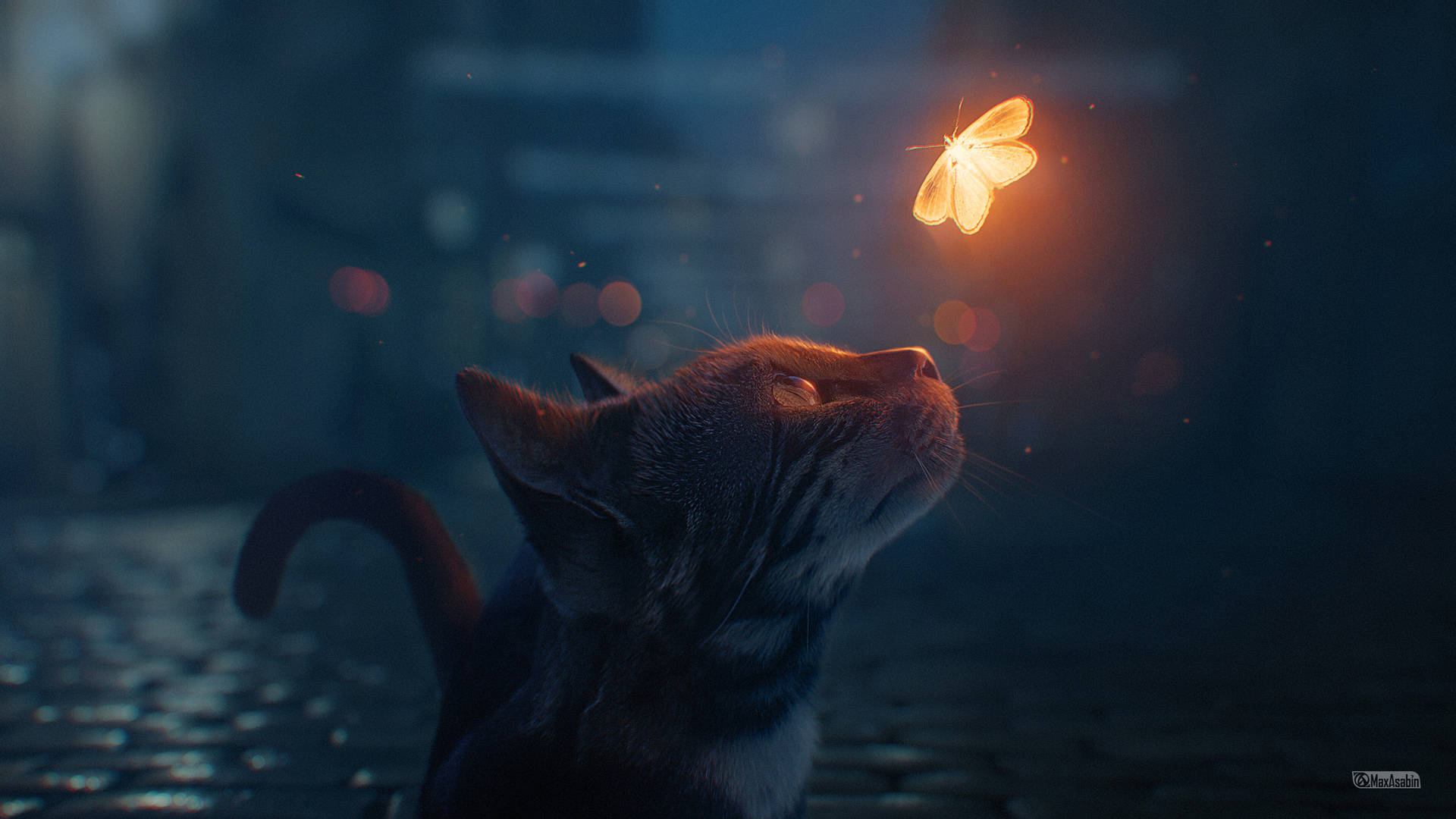 Estetik Kedi ve Kelebek Duvar Kağıdı