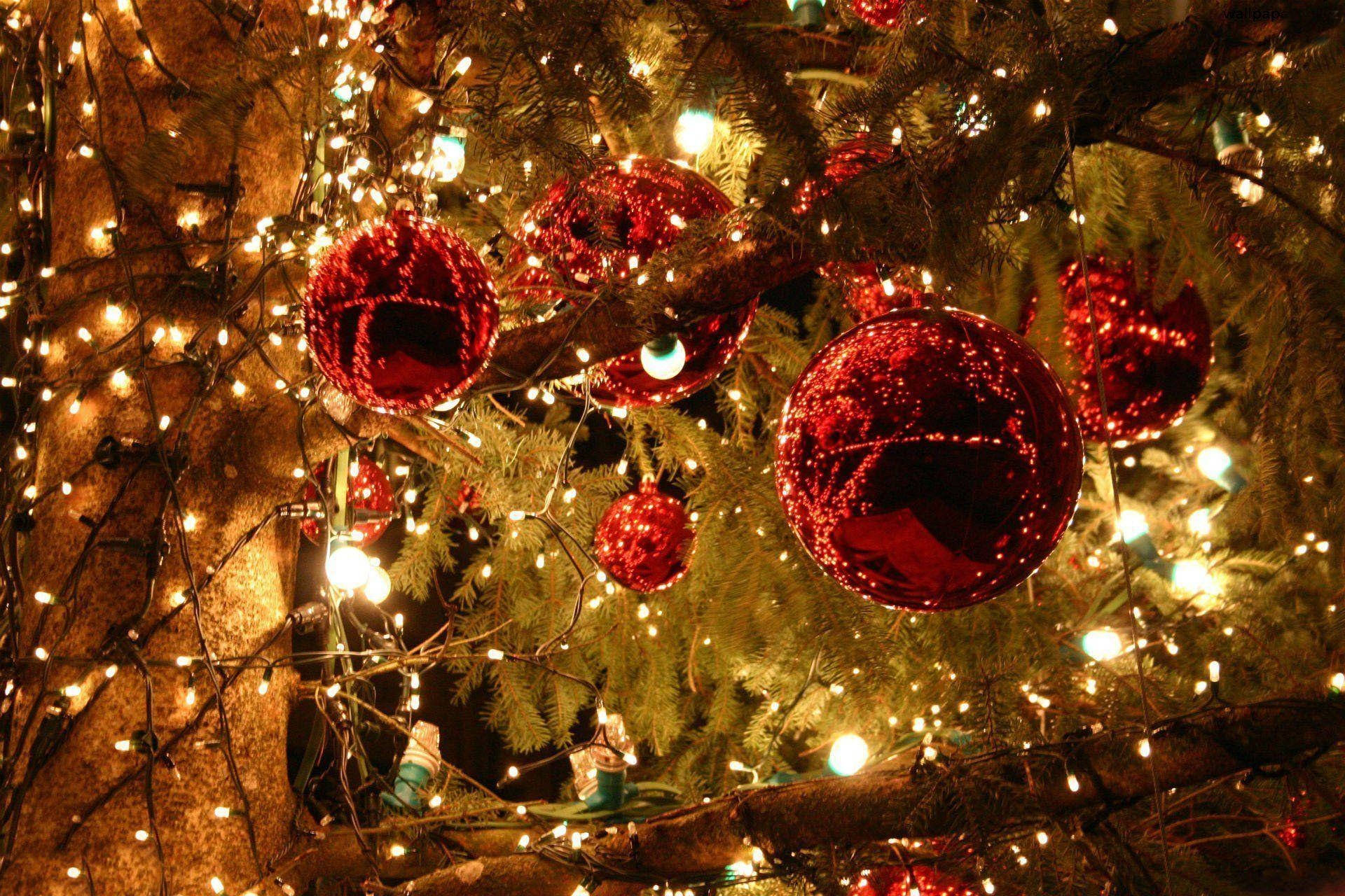 Estetik Noel Ağacı ve Şenlik Işıkları Duvar Kağıdı