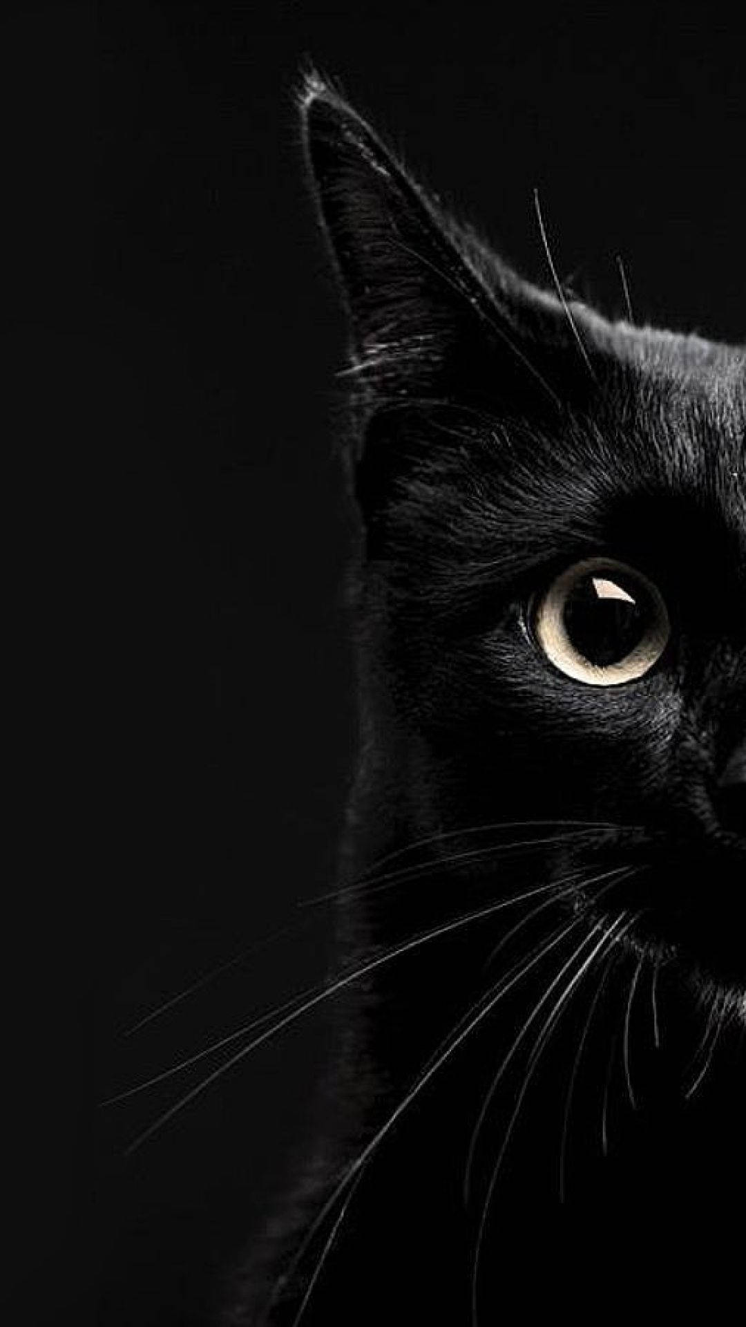 Estetik Yarım Kare Siyah Kedi iPhone Duvar Kağıdı