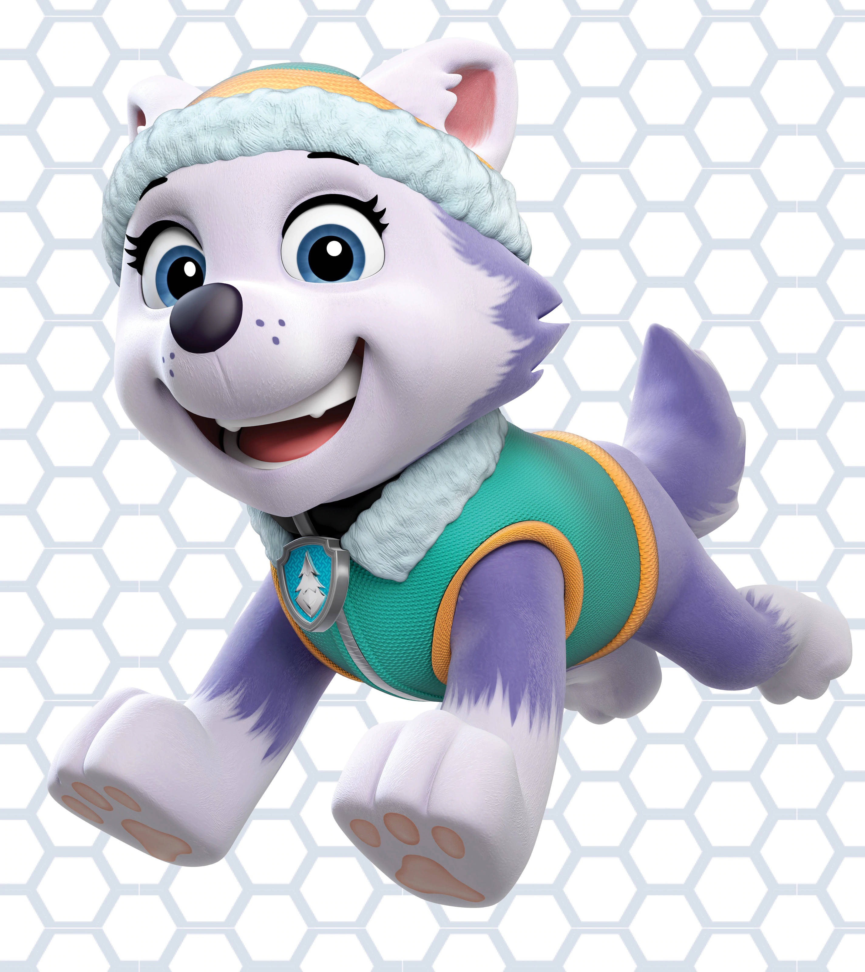 Everest - Paw Patrol Duvar Kağıdı