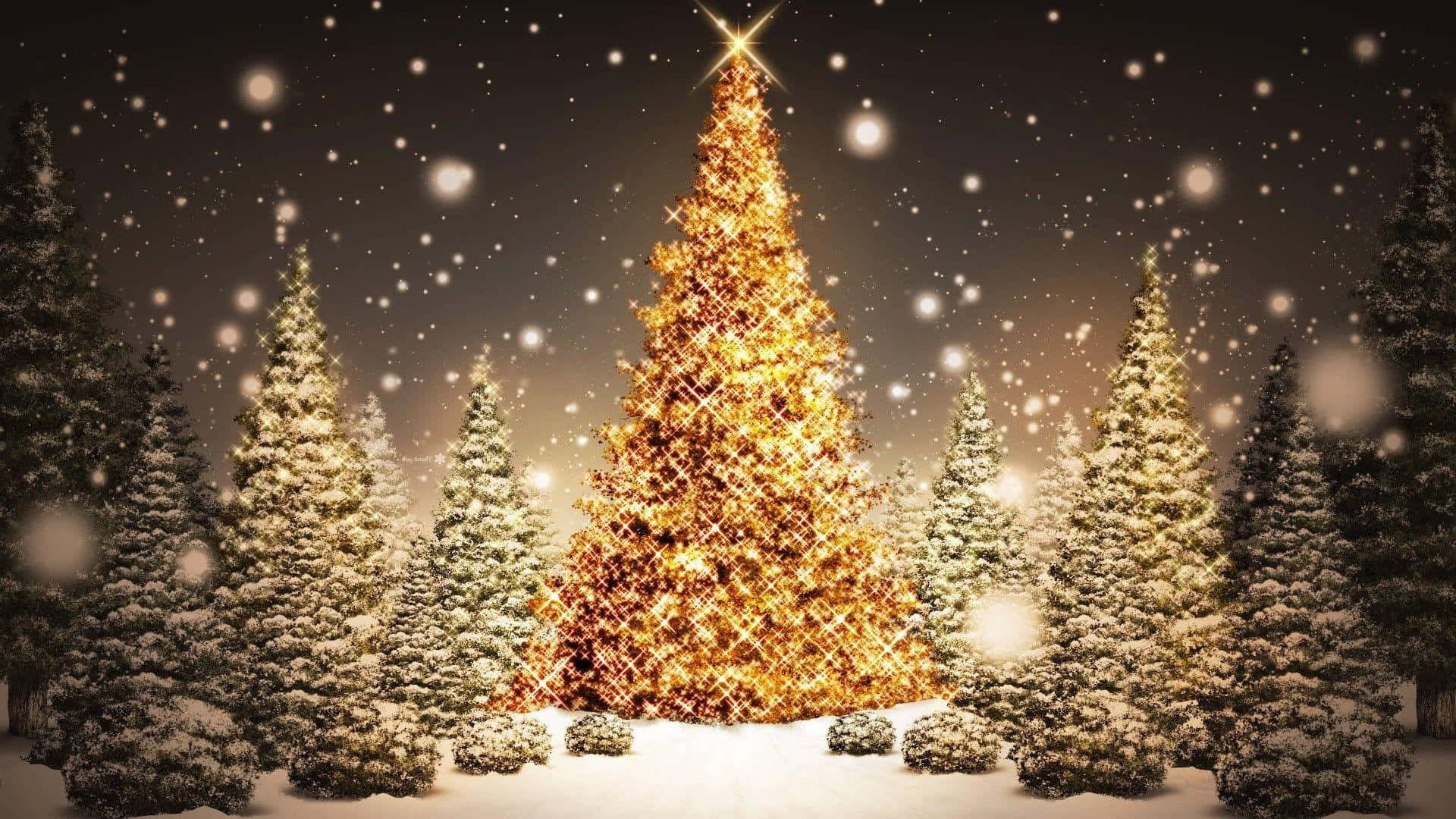 Evinizi aydınlatacak mükemmel Noel ağacı Duvar Kağıdı
