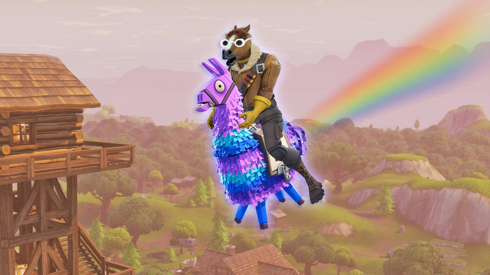 Fortnite Meme Midilli Binme Duvar Kağıdı