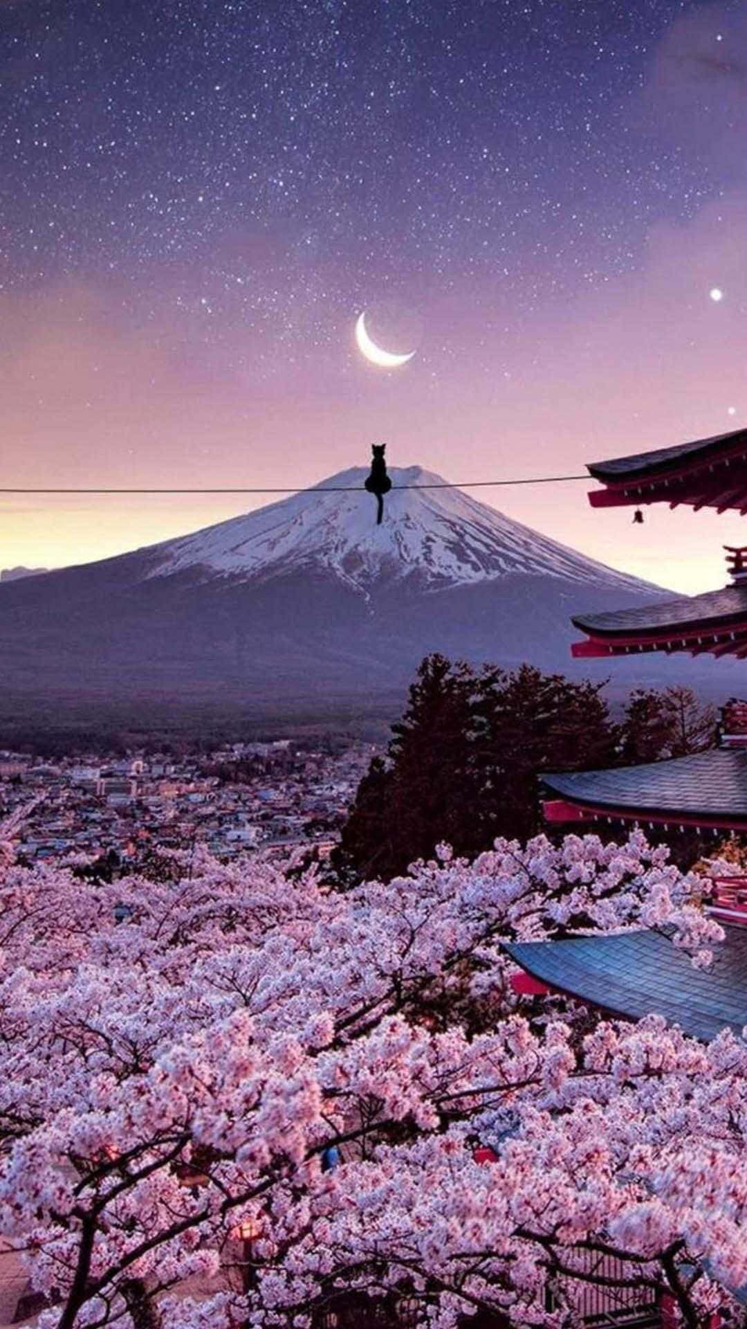 Fuji Dağı ve Kiraz Çiçekleri Japon iPhone Duvar Kağıdı
