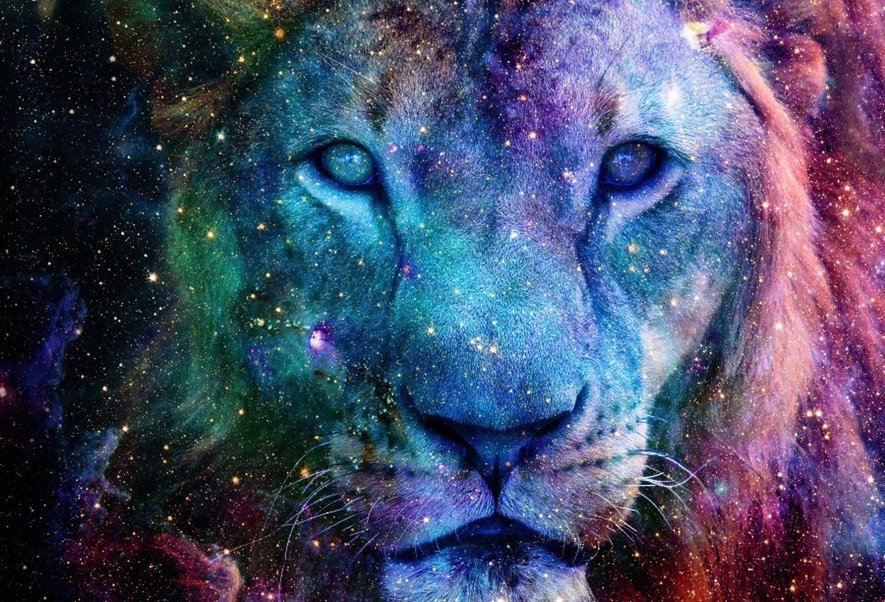 Galaxy Aslan Portresi Duvar Kağıdı