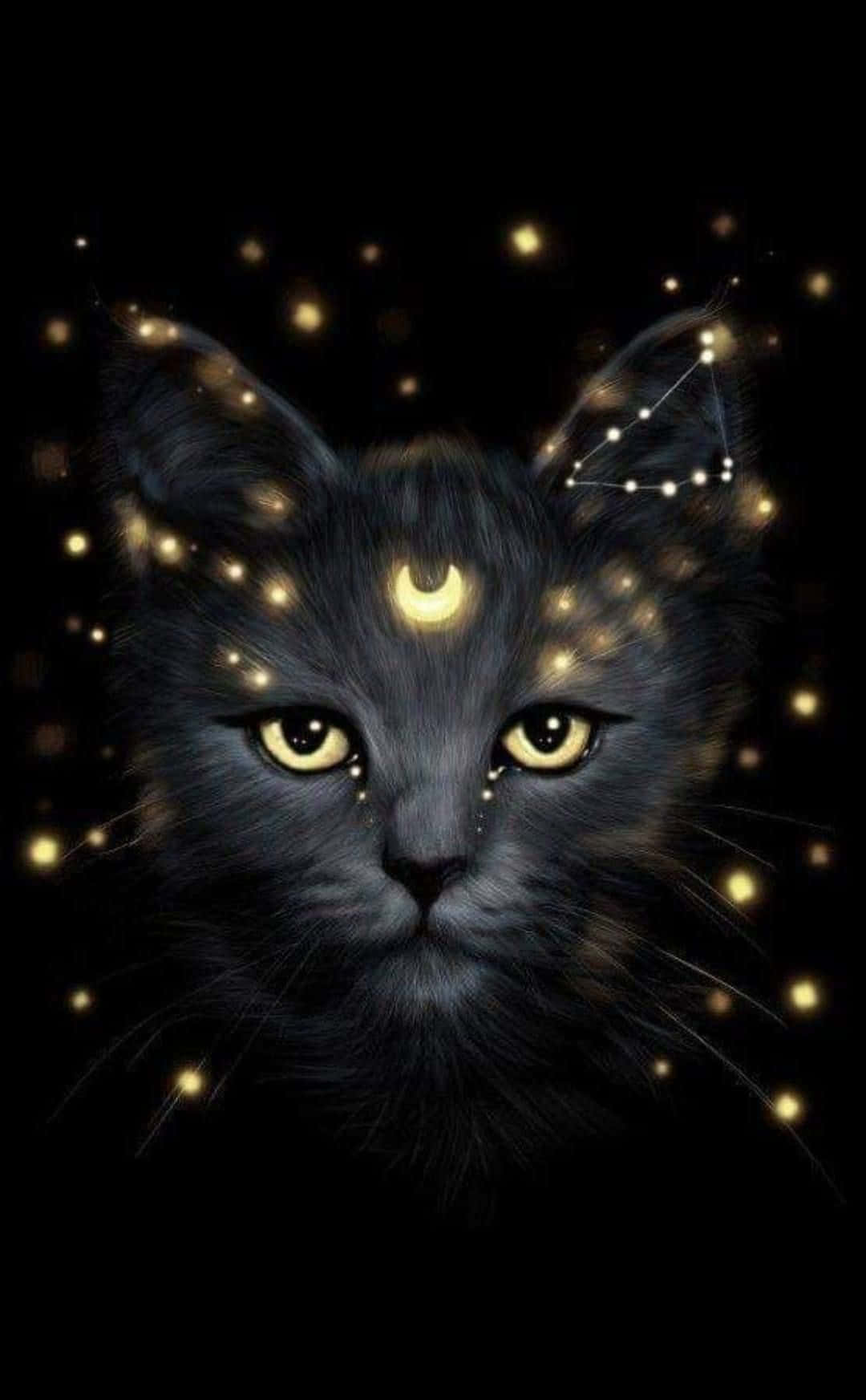 Galaxy Cat ile Evrene Yolculuk Duvar Kağıdı