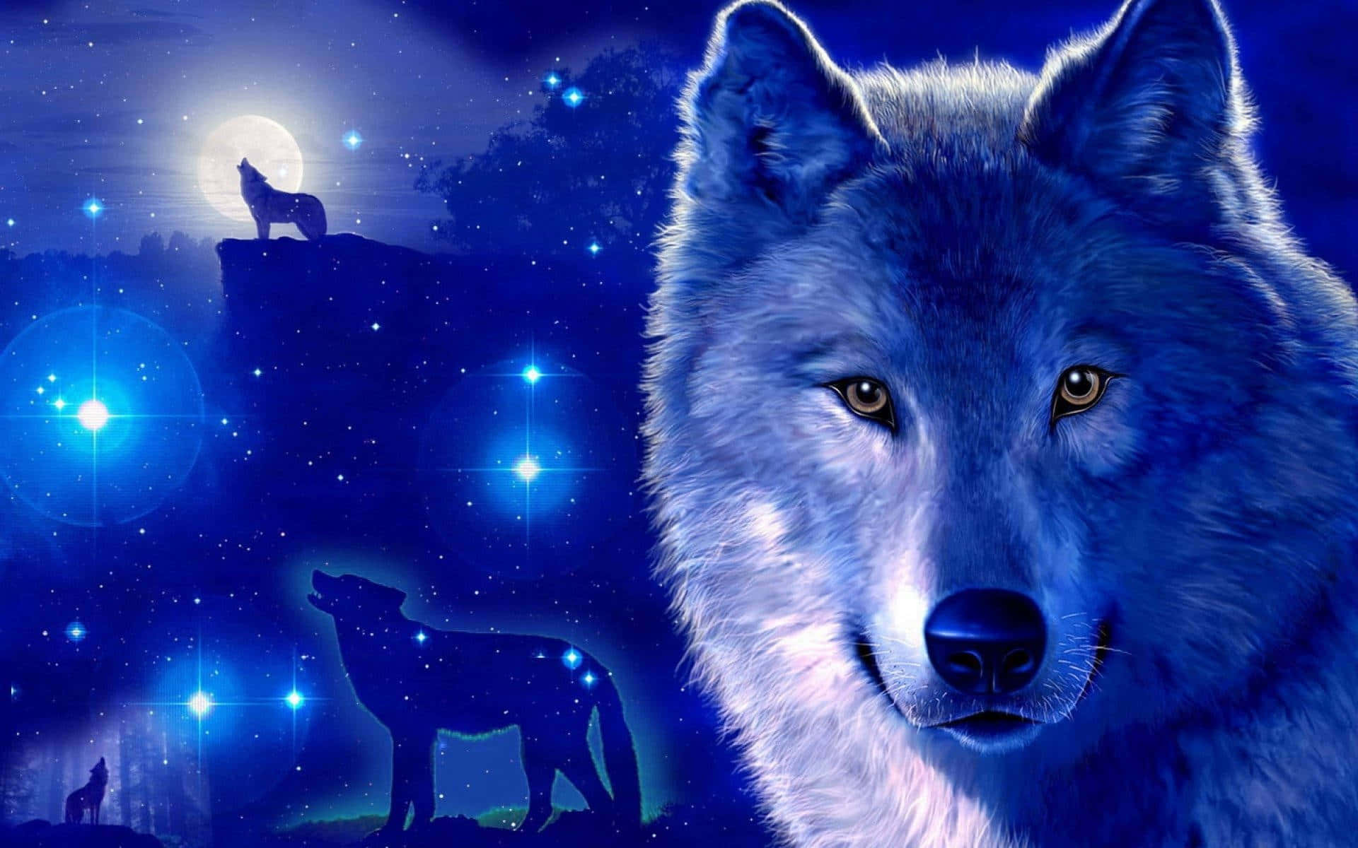 Galaxy Wolf ile yıldızların güzelliğini deneyimleyin Duvar Kağıdı