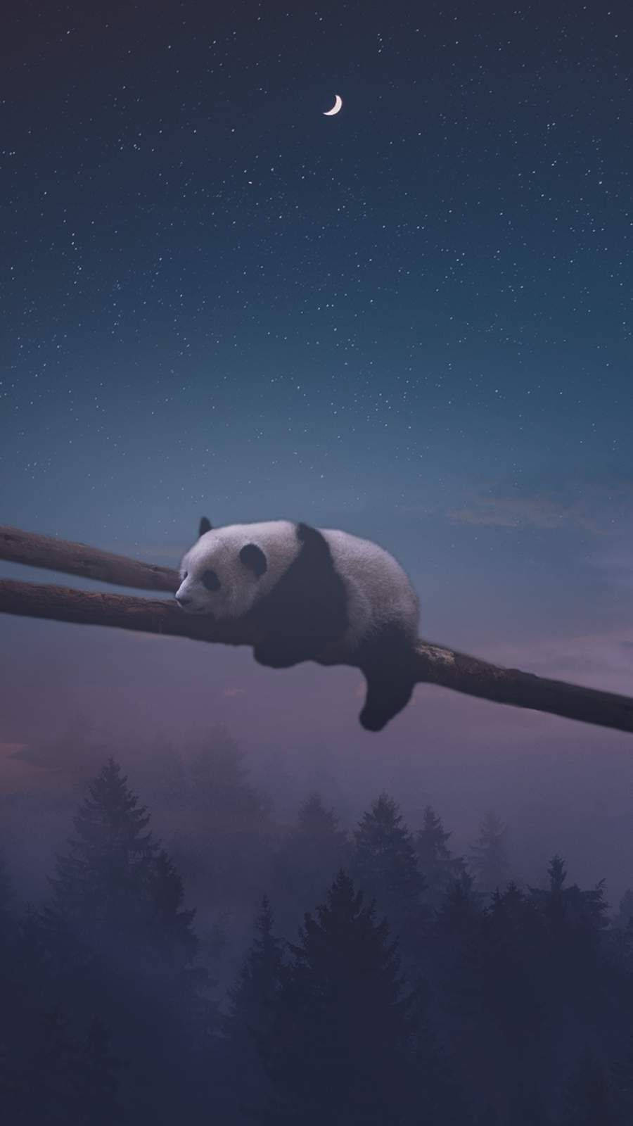 Gece Pandası Uykusu Duvar Kağıdı