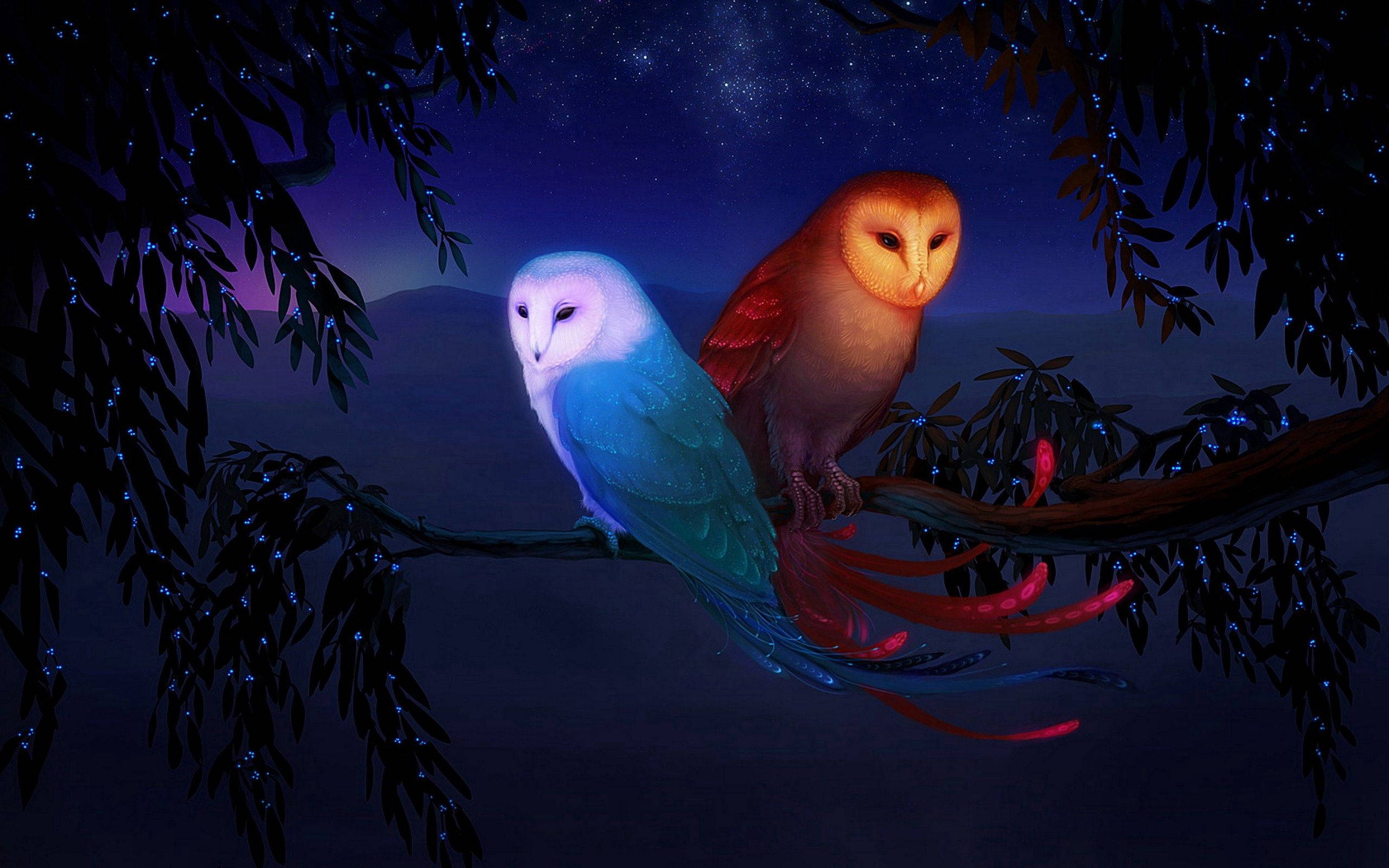Gece Sahnesinde Duran İki Baykuş Duvar Kağıdı