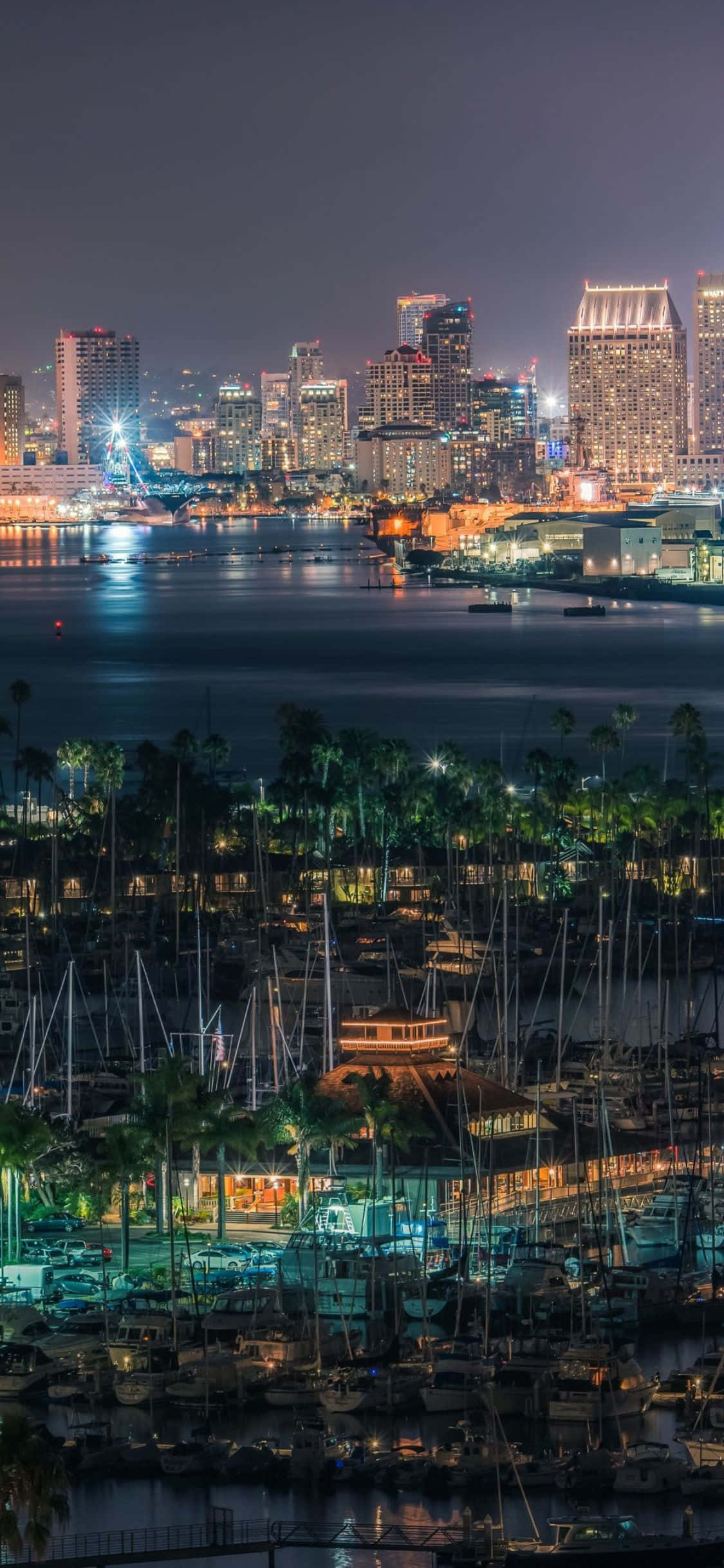gece san diego şehir silüeti Duvar Kağıdı