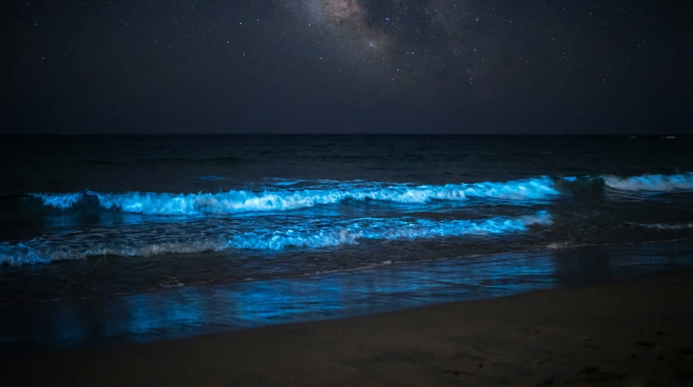 4K gece okyanusu, gece mavi dalgalar, gece okyanus duvar kağıdı, samanyolu plajı, parlayan plaj, biyolüminesans dalgalar, Doğa 4k, Doğa, Plaj, Deniz Arkaplanı, Deniz