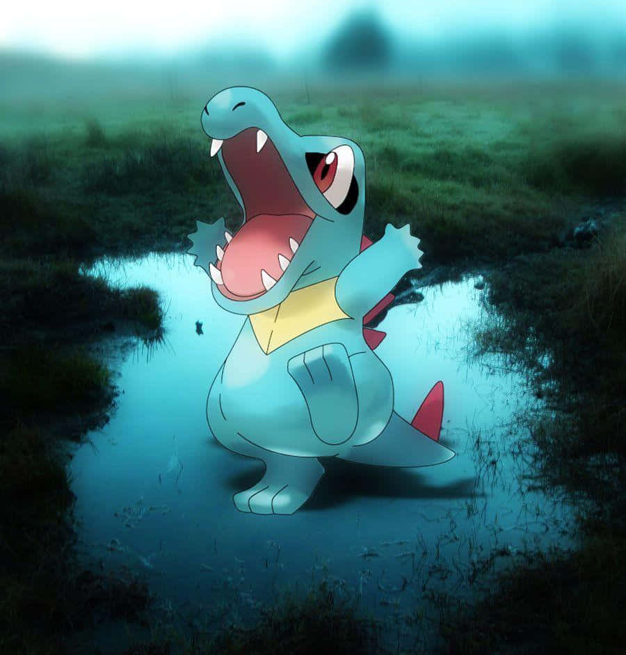 Gerçek Hayattaki Su Birikintisinde Totodile Duvar Kağıdı