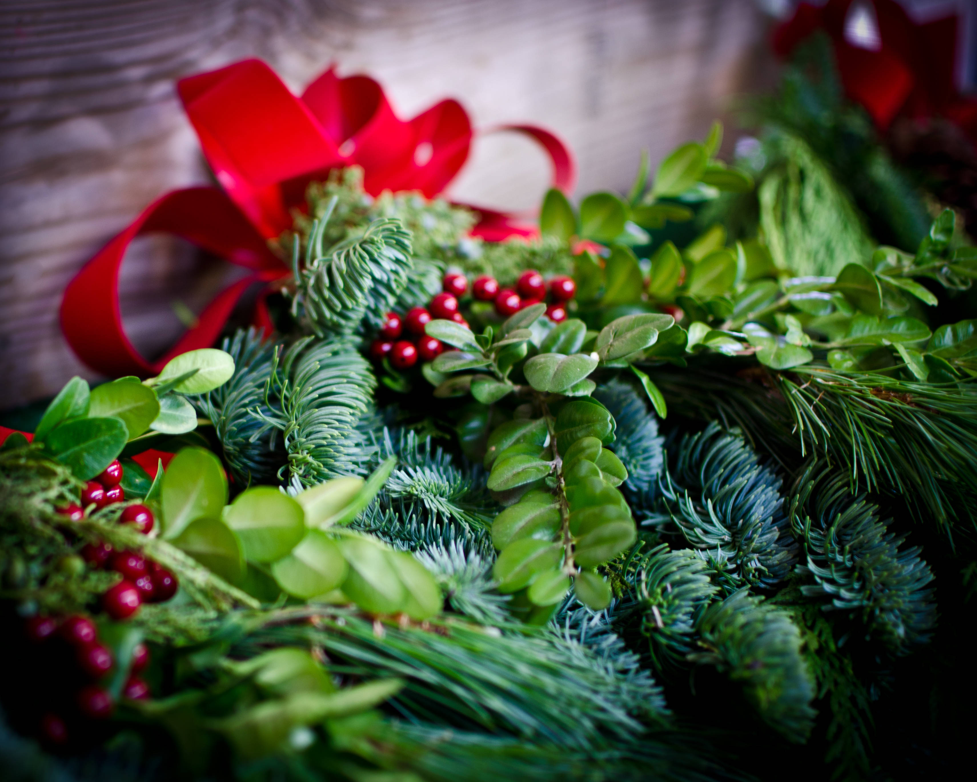 Gerçek Yeşil Çam Yaprakları Noel Dekorasyonu Duvar Kağıdı