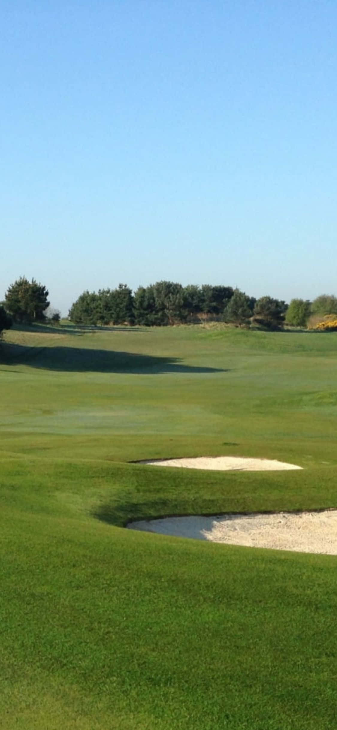 Golf Sahasının Kusursuz Yeşilinde Vuruş Yapın Duvar Kağıdı