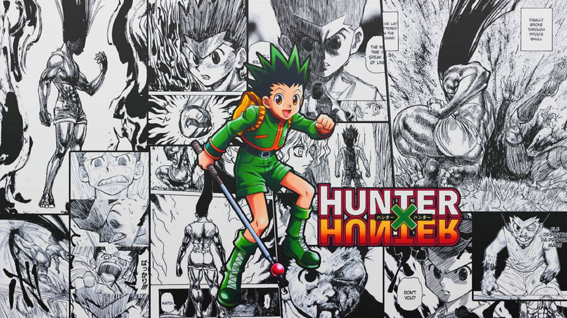 Gon Freecss Manga Paneli Duvar Kağıdı