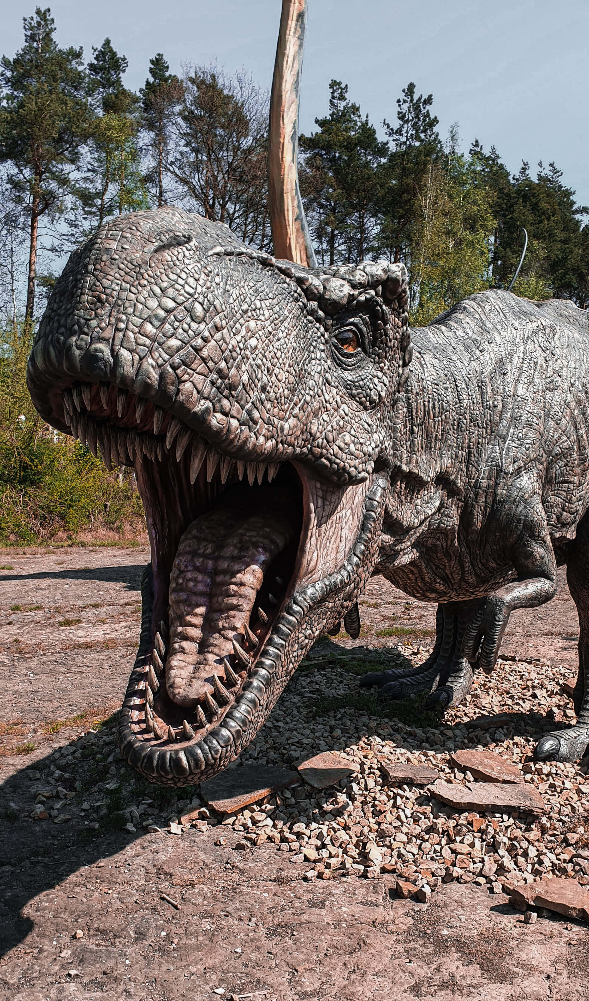 Görkemli Bir Brachiosaurus'un Büyüleyici Manzarası Duvar Kağıdı