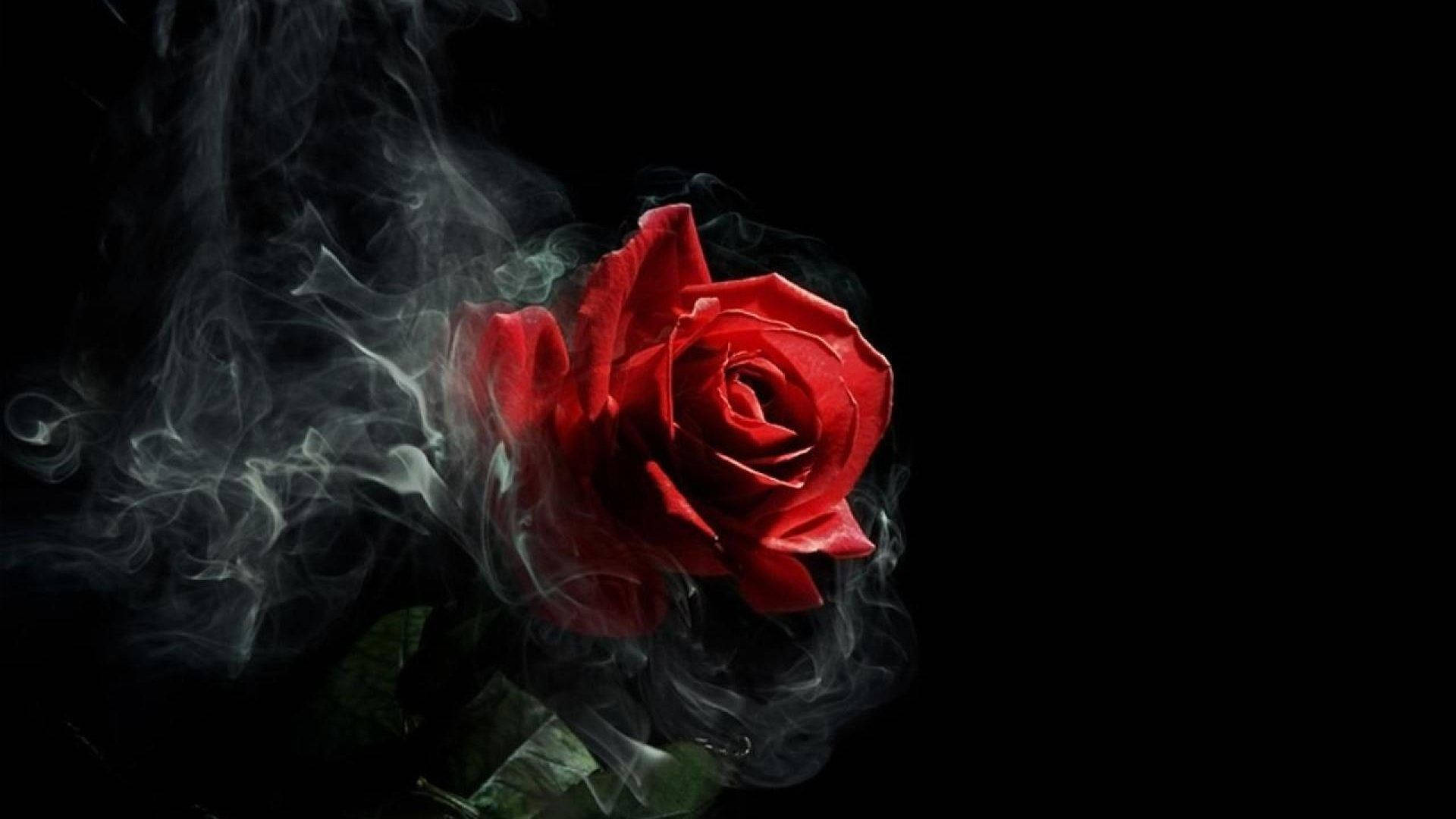 Gotik Dumanlı Gül Estetiği Duvar Kağıdı