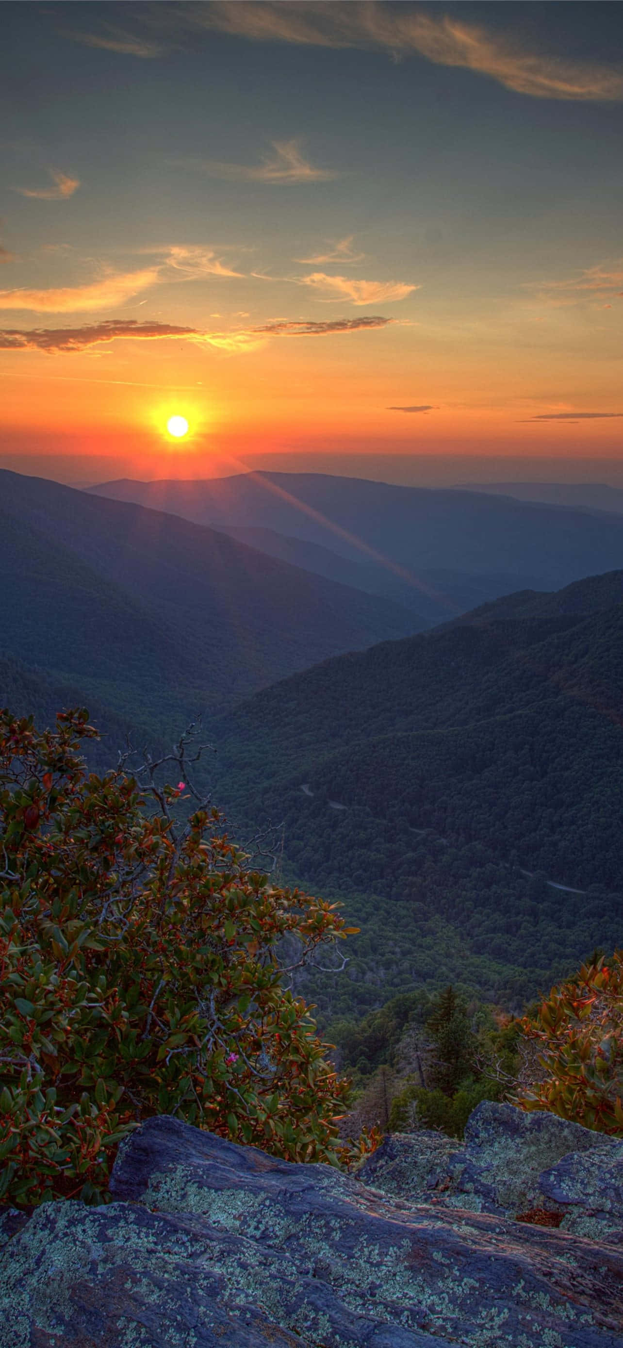 Great Smoky Dağları Ulusal Parkı Altın Güneş Duvar Kağıdı
