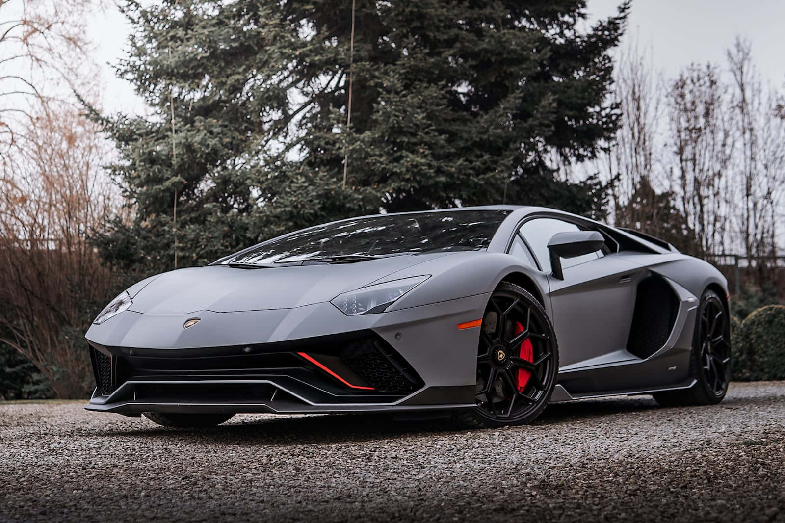 gri bir lamborghini ağacın önünde park etmiş Duvar Kağıdı