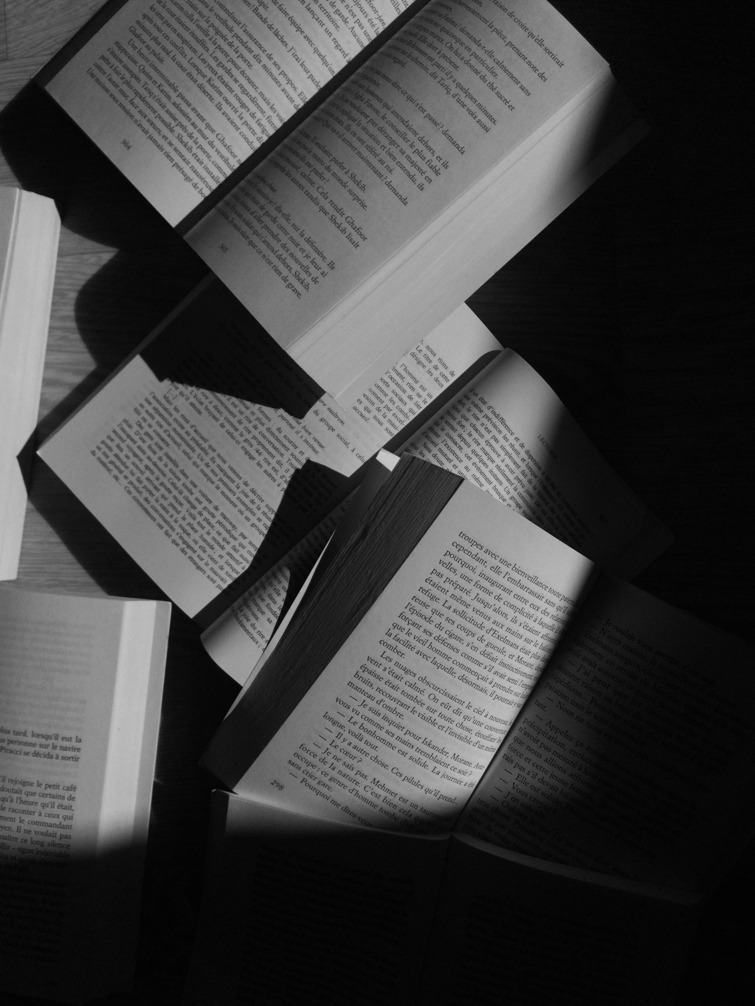 Gri Tonlarda Estetik Kitap Masaüstü Duvar Kağıdı