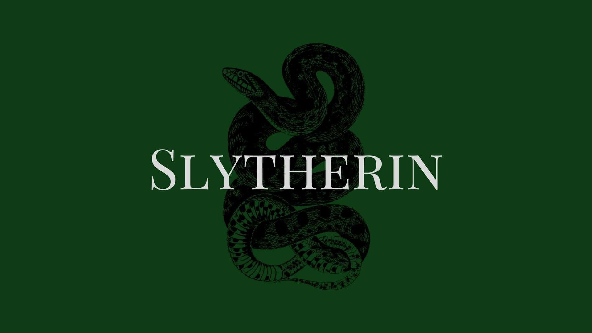 Gryffindor ve Slytherin arasındaki epik savaşta kim galip gelecek? Duvar Kağıdı