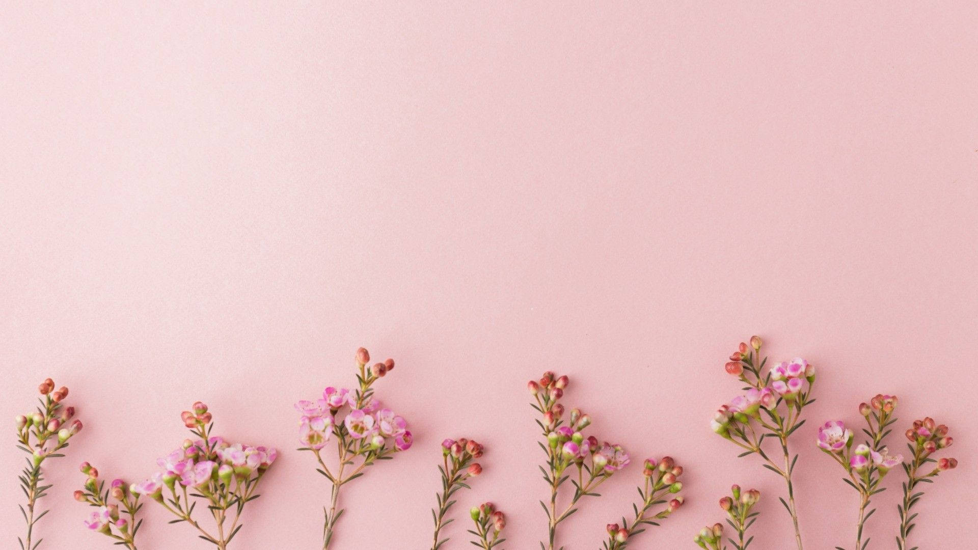 Gül Altını Estetik Küçük Çiçek Duvar Kağıdı