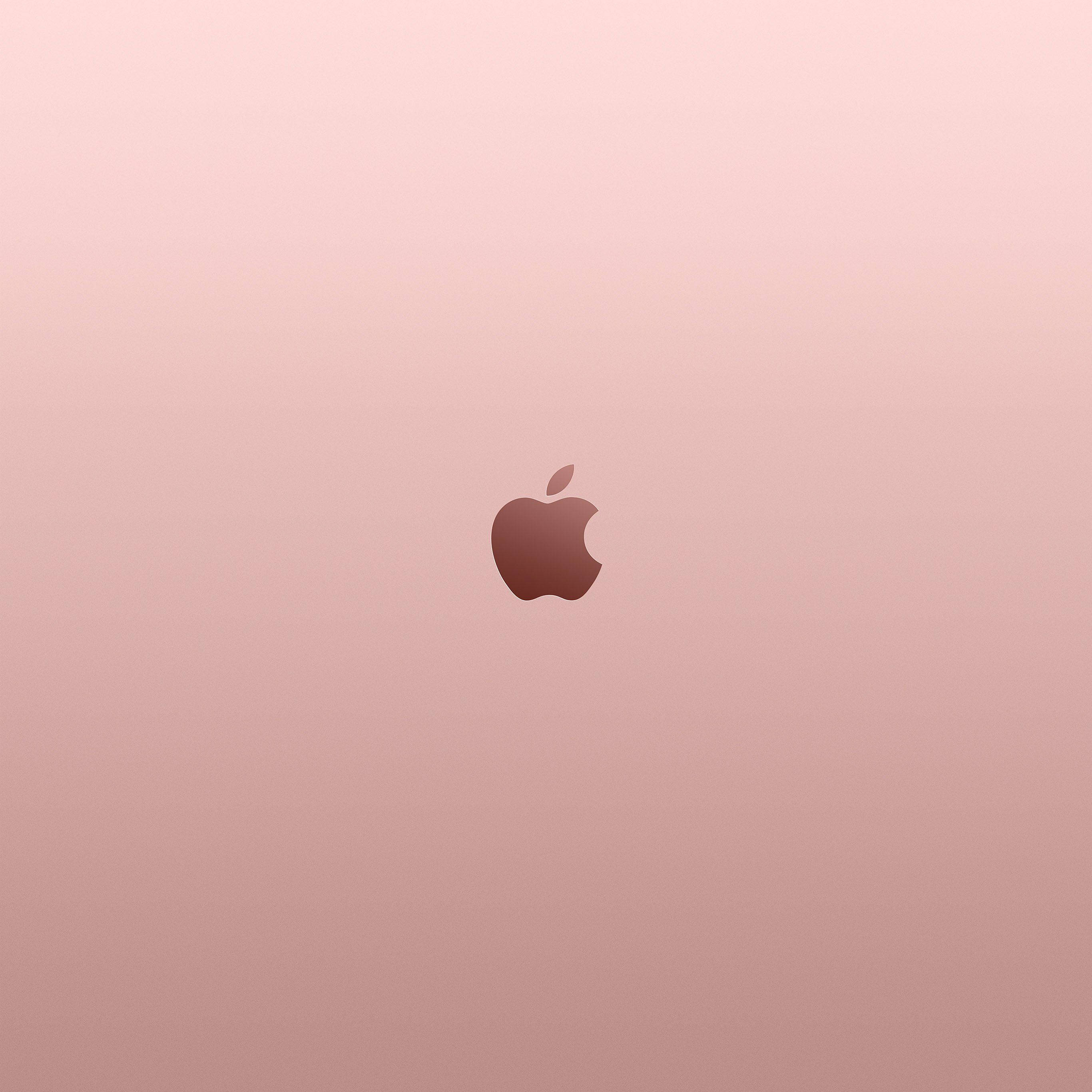 Gül Altını Estetik Apple Logosu Duvar Kağıdı