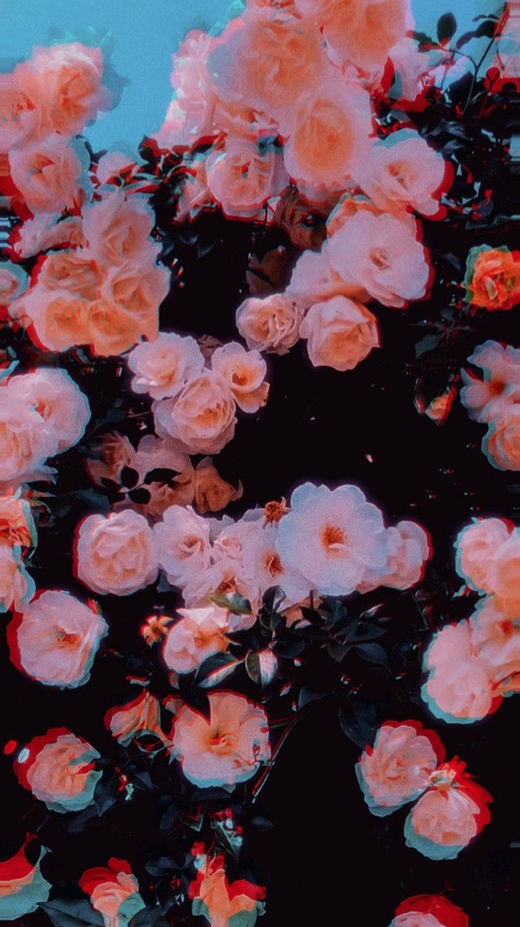 Güller Trippy Estetik Duvar Kağıdı